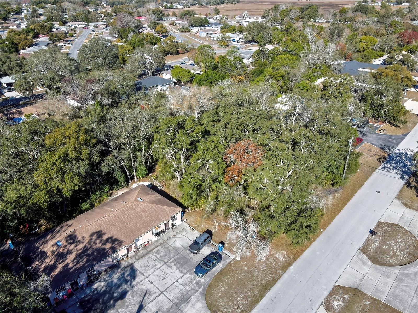 1241 SYLVIA AVE, SPRING HILL, FL, 34606