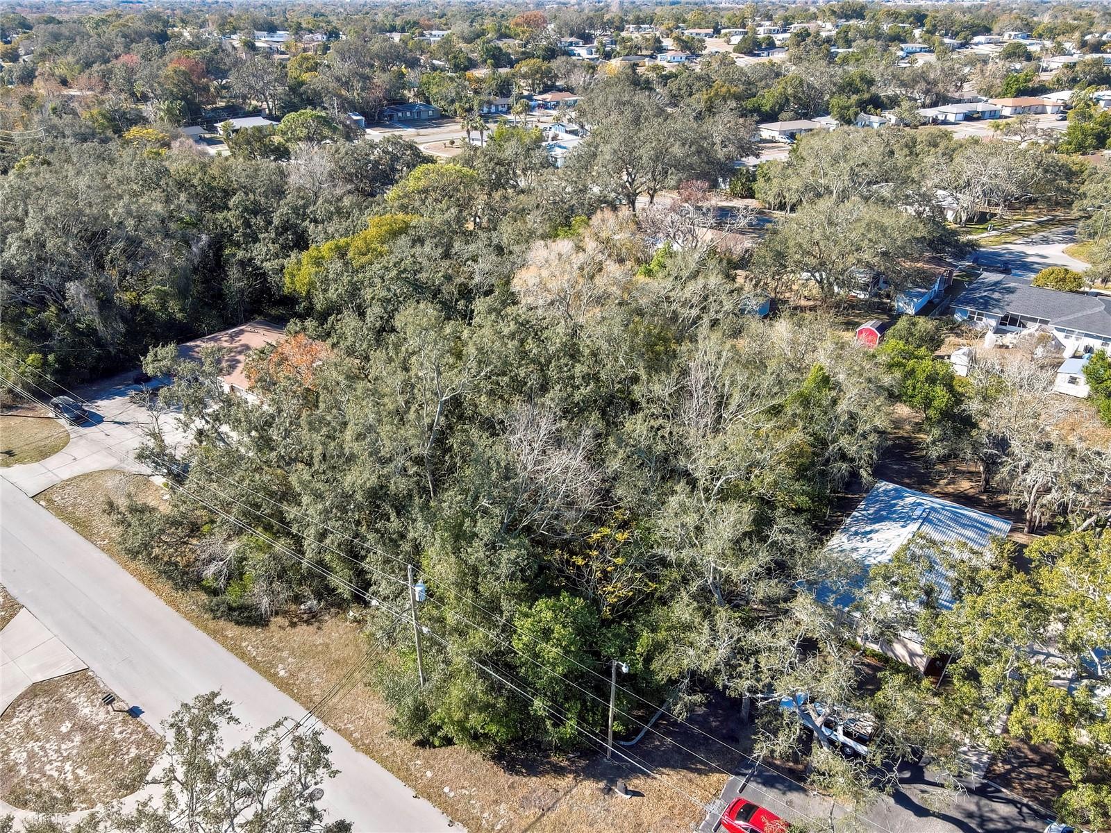 1241 SYLVIA AVE, SPRING HILL, FL, 34606