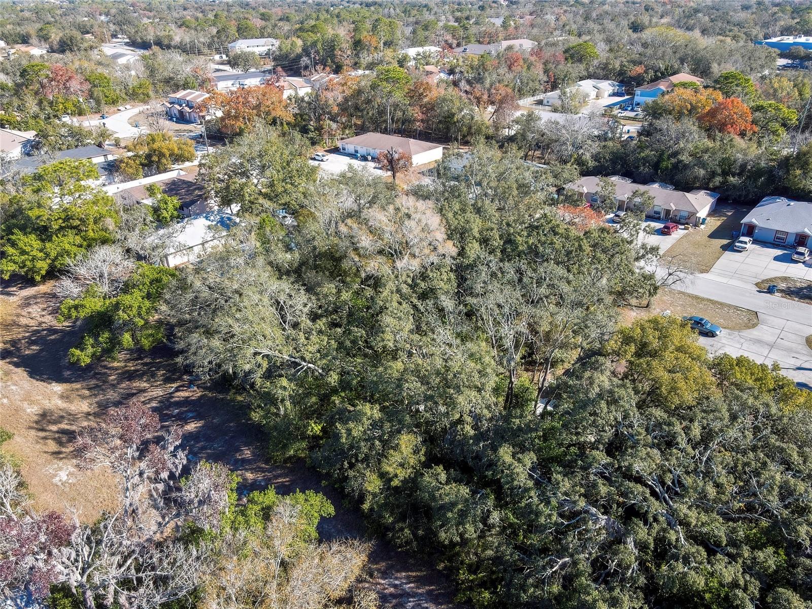 1241 SYLVIA AVE, SPRING HILL, FL, 34606