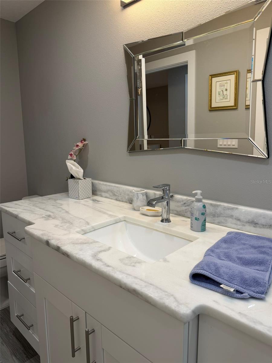 1 BEACH DR SE #1310, ST PETERSBURG, FL, 33701