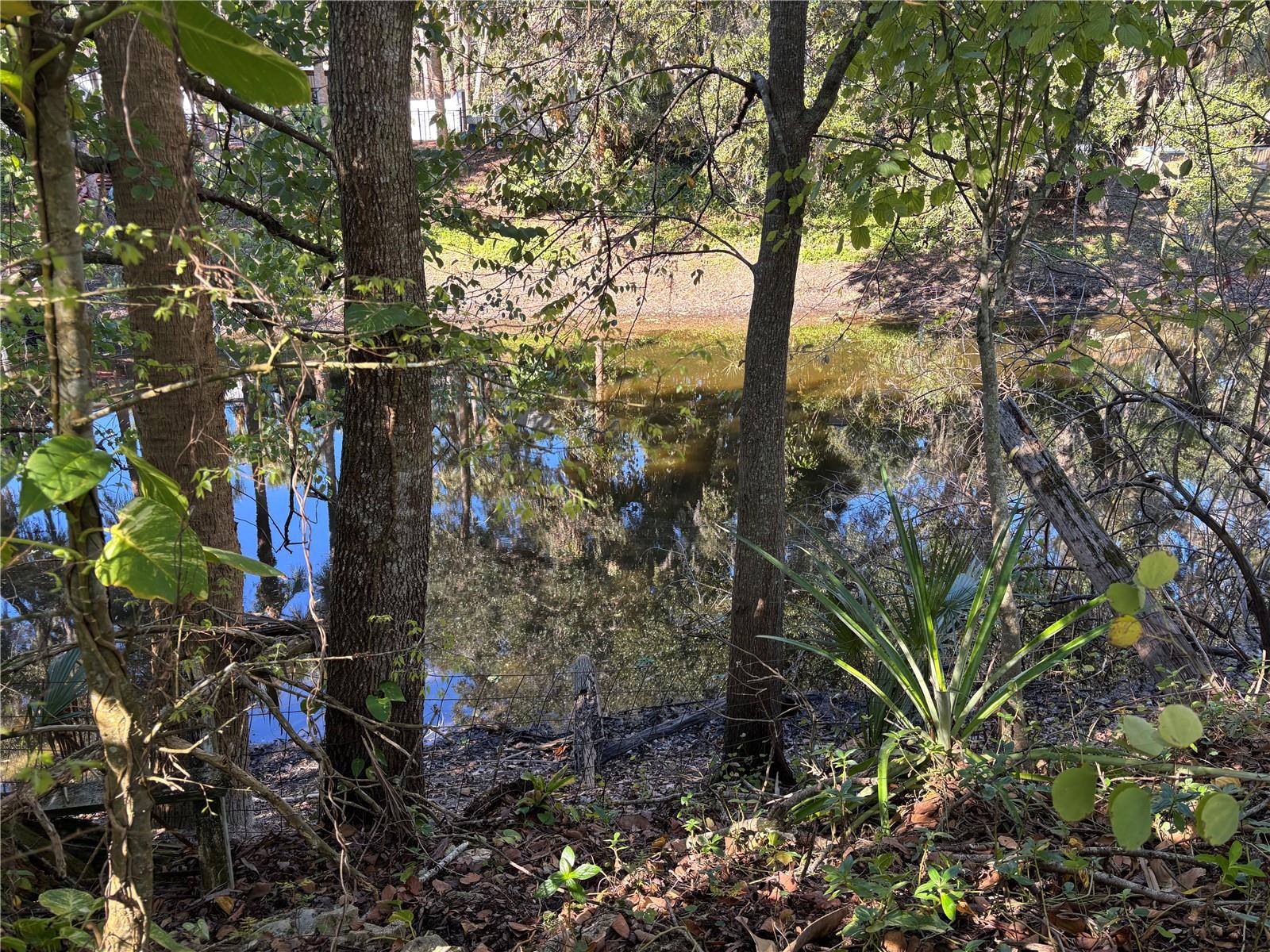 1916 SPRING AVE, OVIEDO, FL, 32765