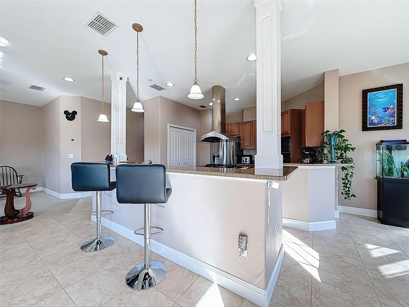 4536 HERON LDG, NEW PORT RICHEY, FL, 34652