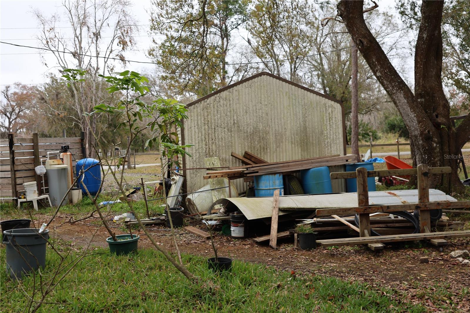 1133 LIVE OAK LN, LUTZ, FL, 33549