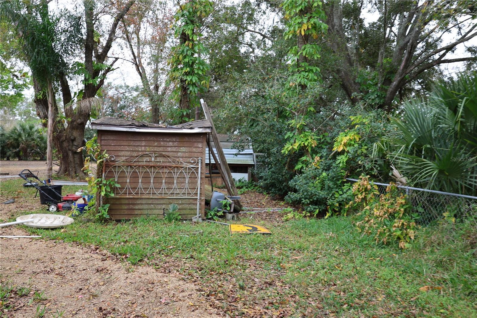 1133 LIVE OAK LN, LUTZ, FL, 33549