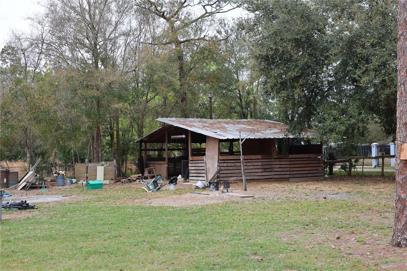 1133 LIVE OAK LN, LUTZ, FL, 33549