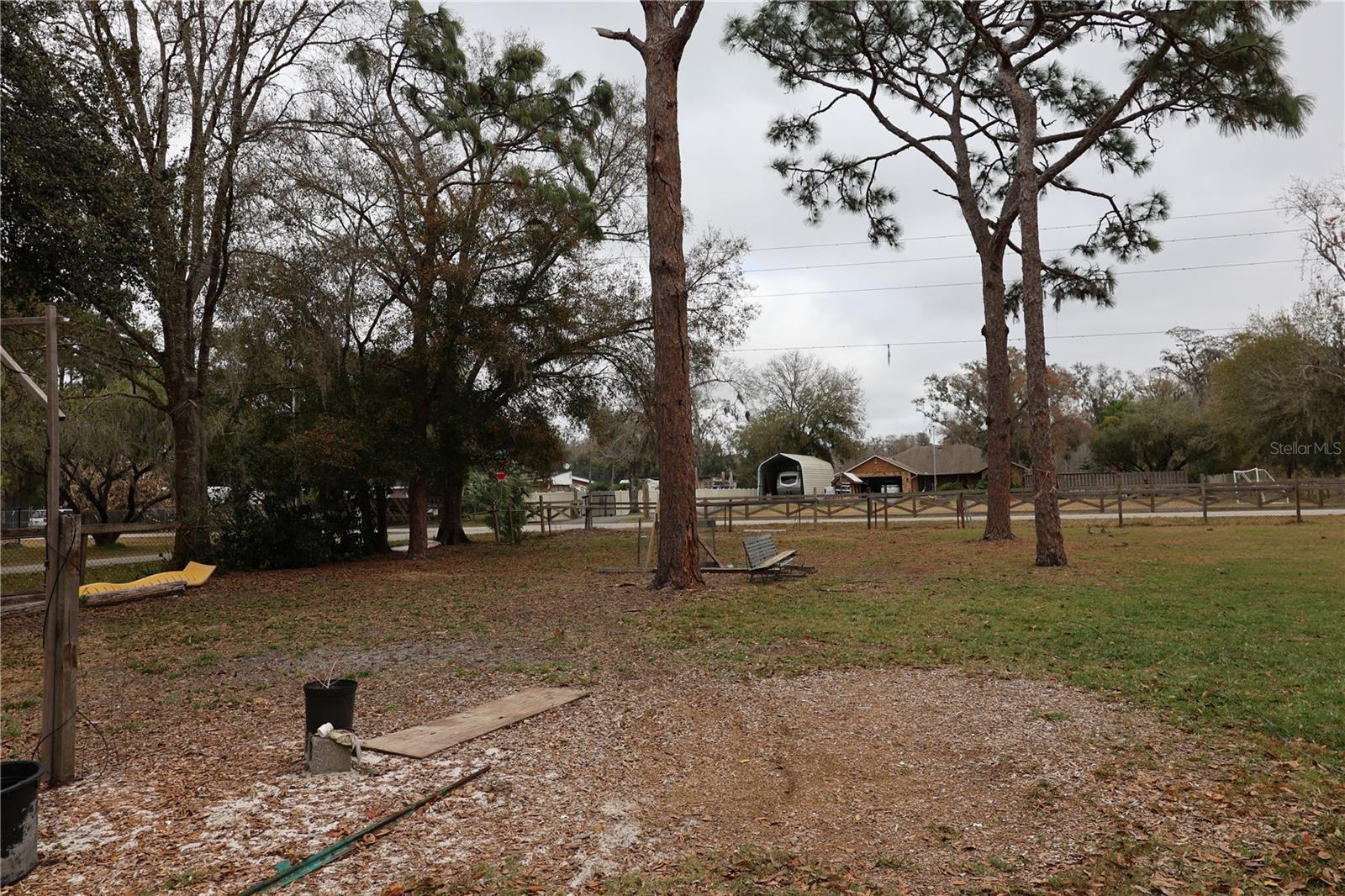 1133 LIVE OAK LN, LUTZ, FL, 33549