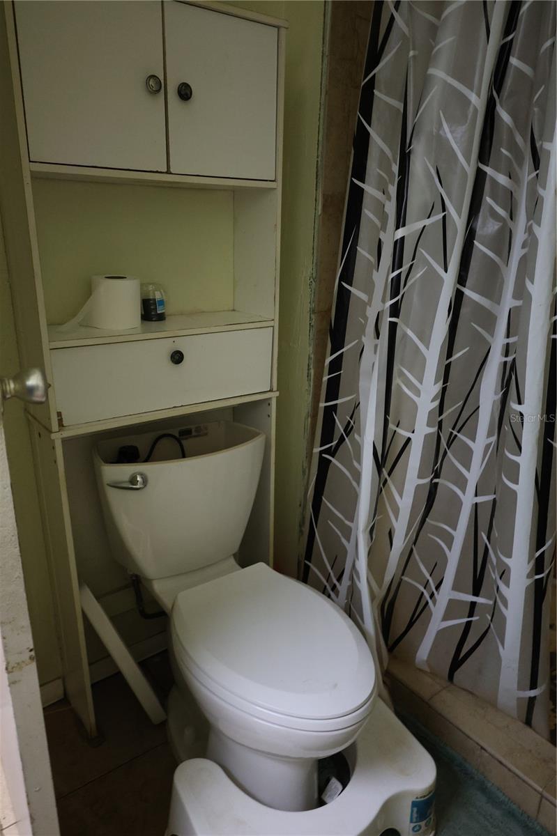 1133 LIVE OAK LN, LUTZ, FL, 33549