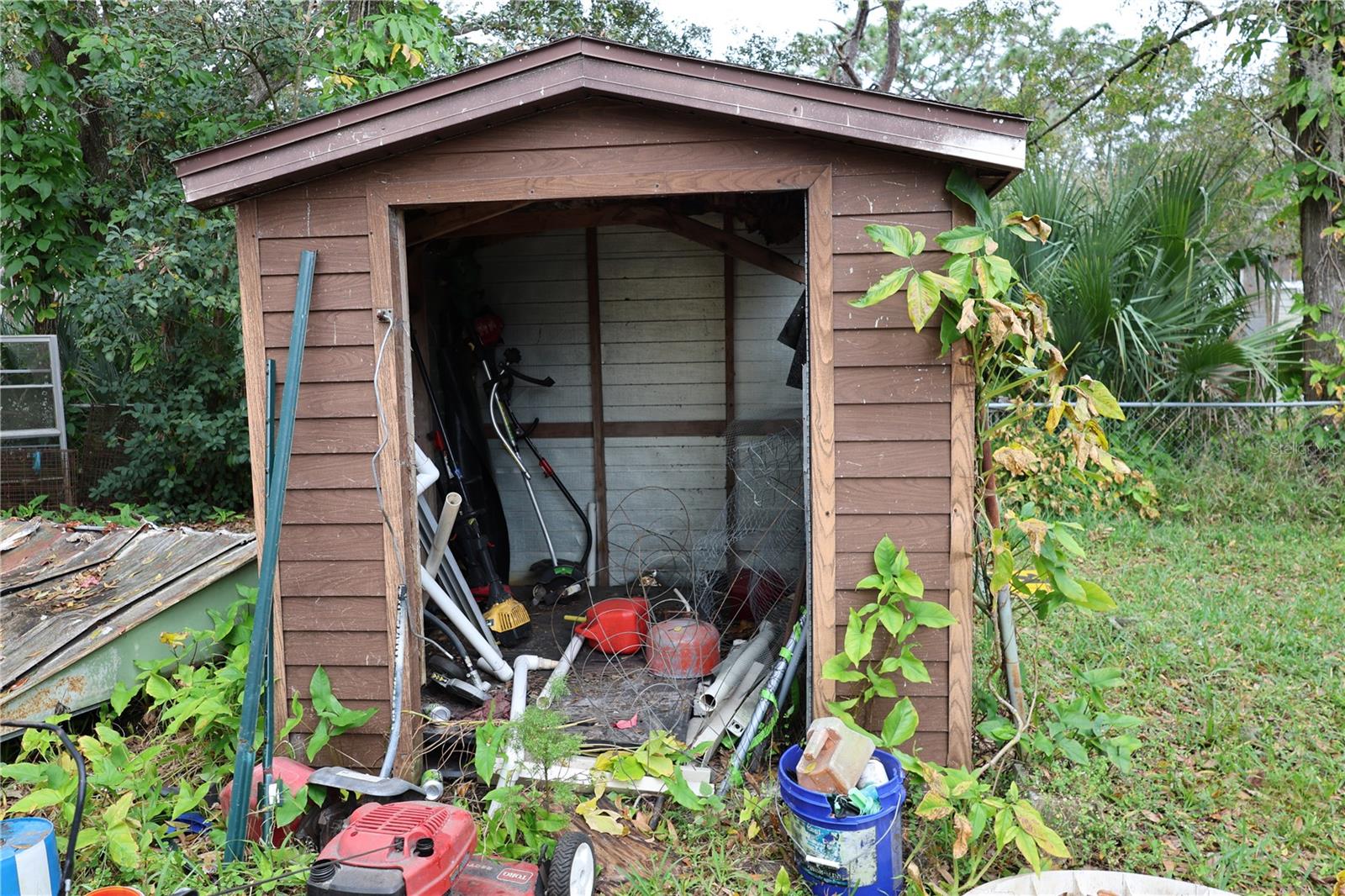 1133 LIVE OAK LN, LUTZ, FL, 33549