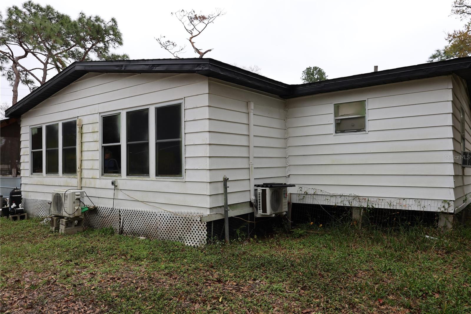 1133 LIVE OAK LN, LUTZ, FL, 33549