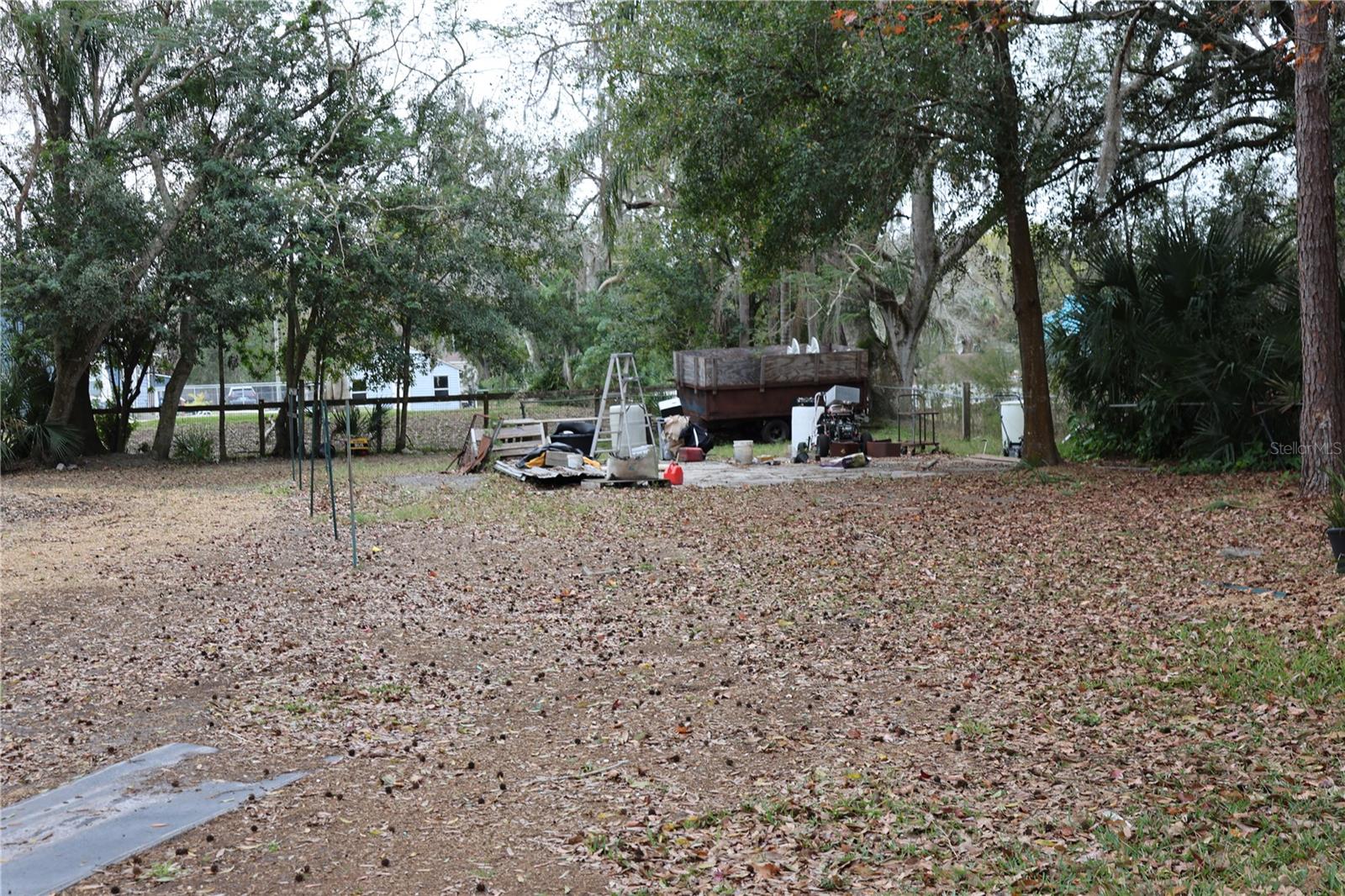 1133 LIVE OAK LN, LUTZ, FL, 33549