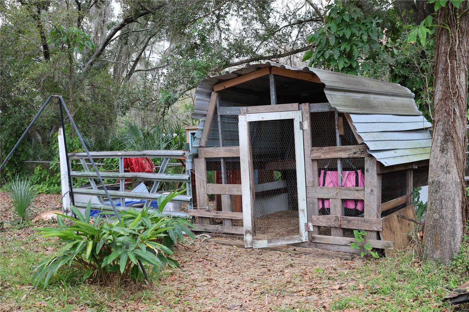 1133 LIVE OAK LN, LUTZ, FL, 33549