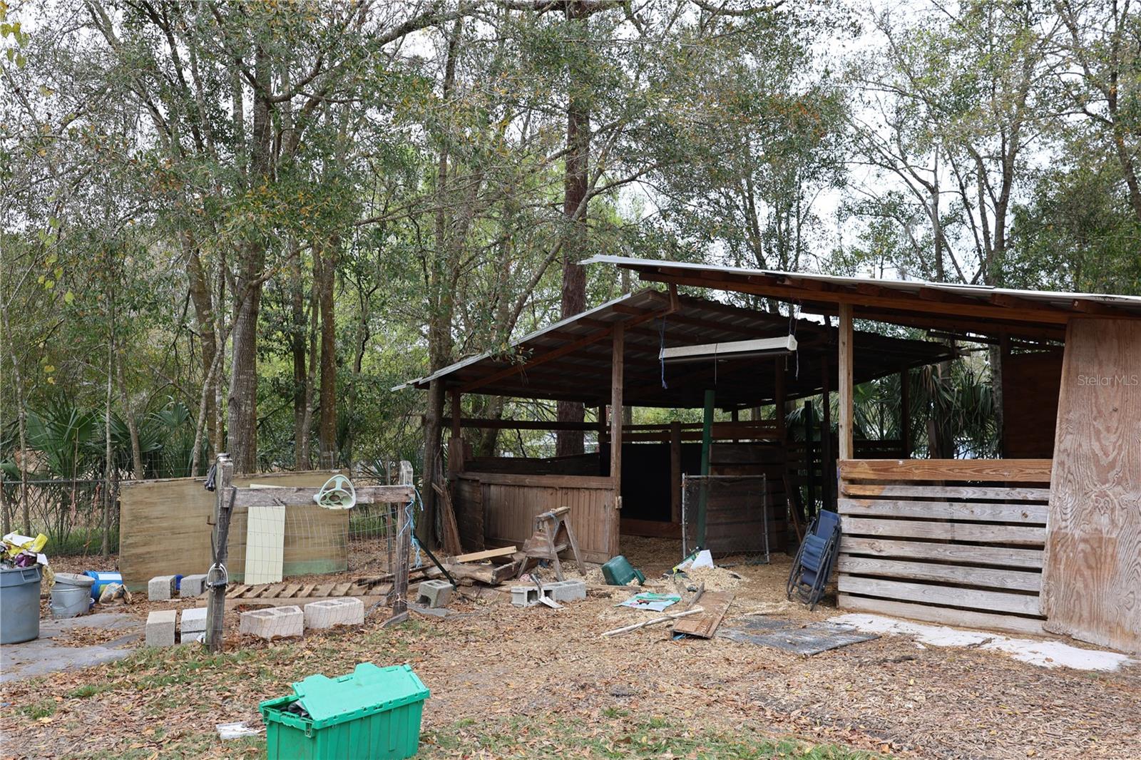 1133 LIVE OAK LN, LUTZ, FL, 33549