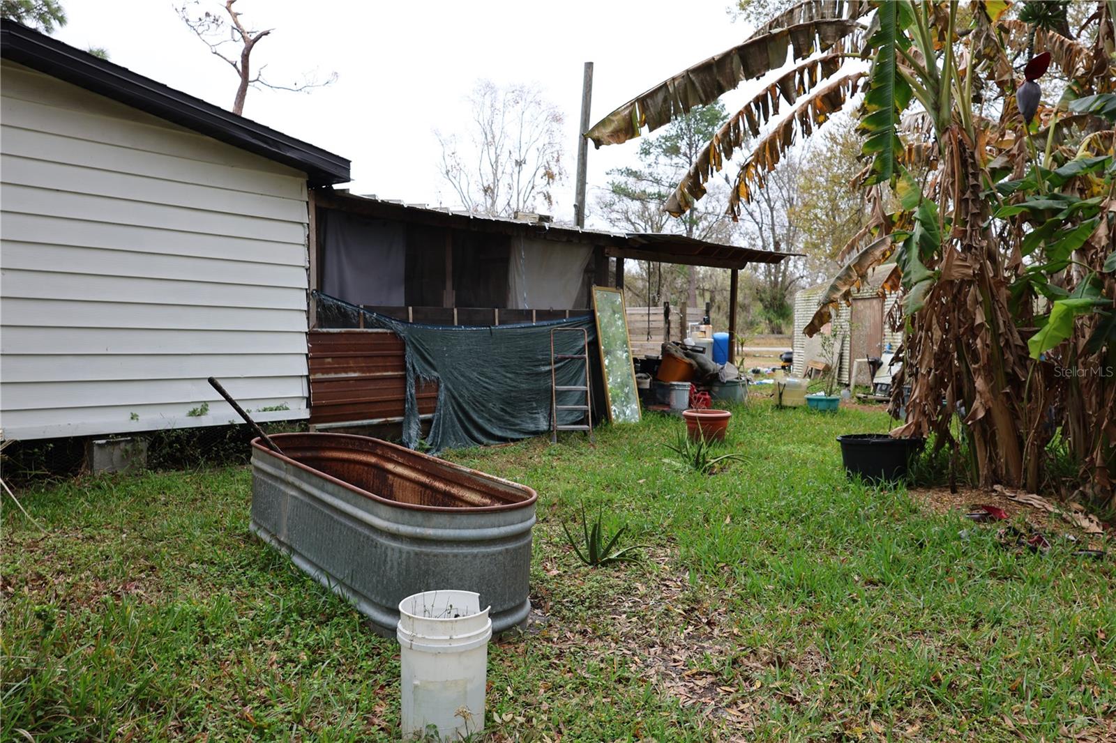 1133 LIVE OAK LN, LUTZ, FL, 33549