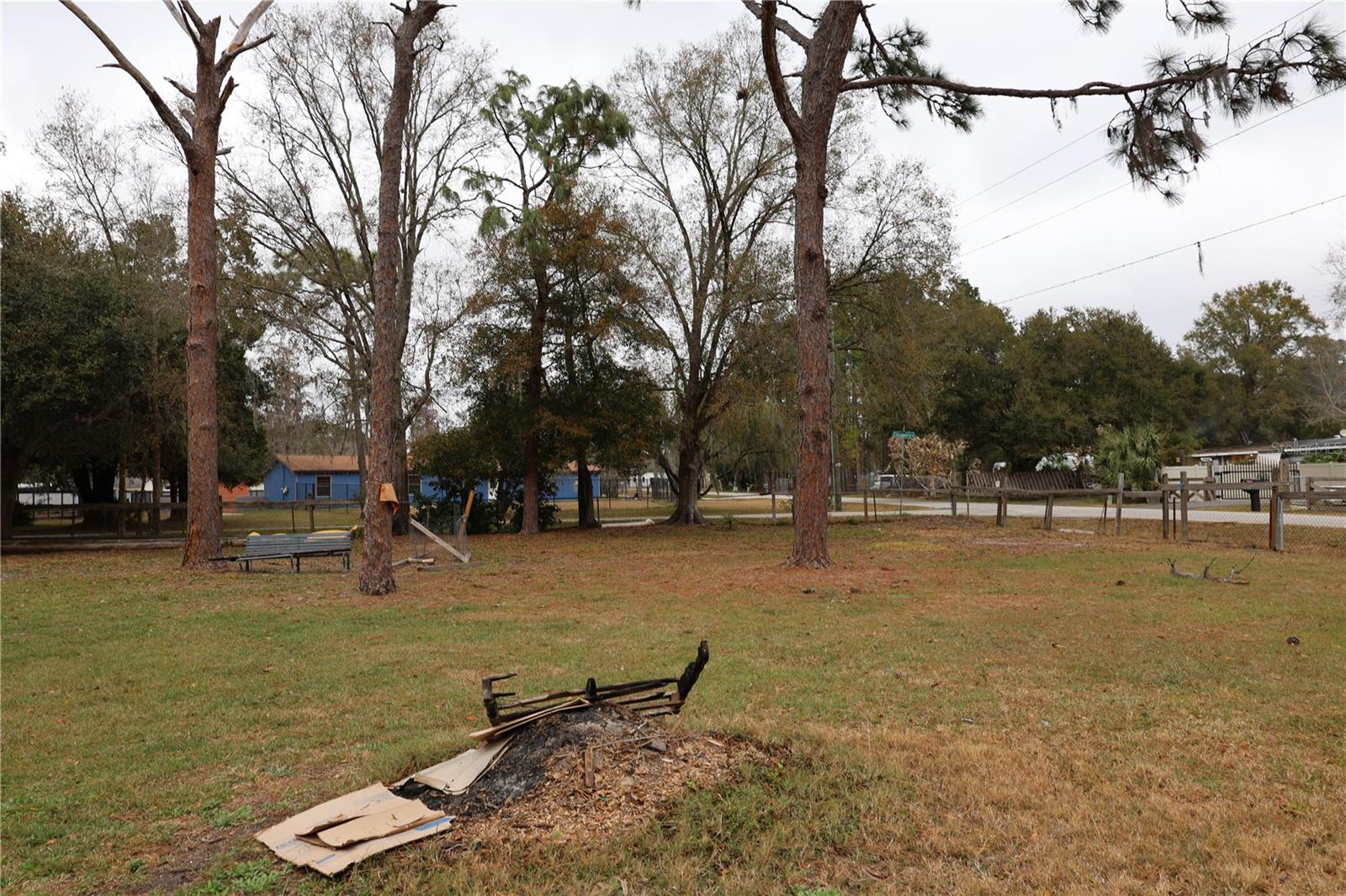 1133 LIVE OAK LN, LUTZ, FL, 33549