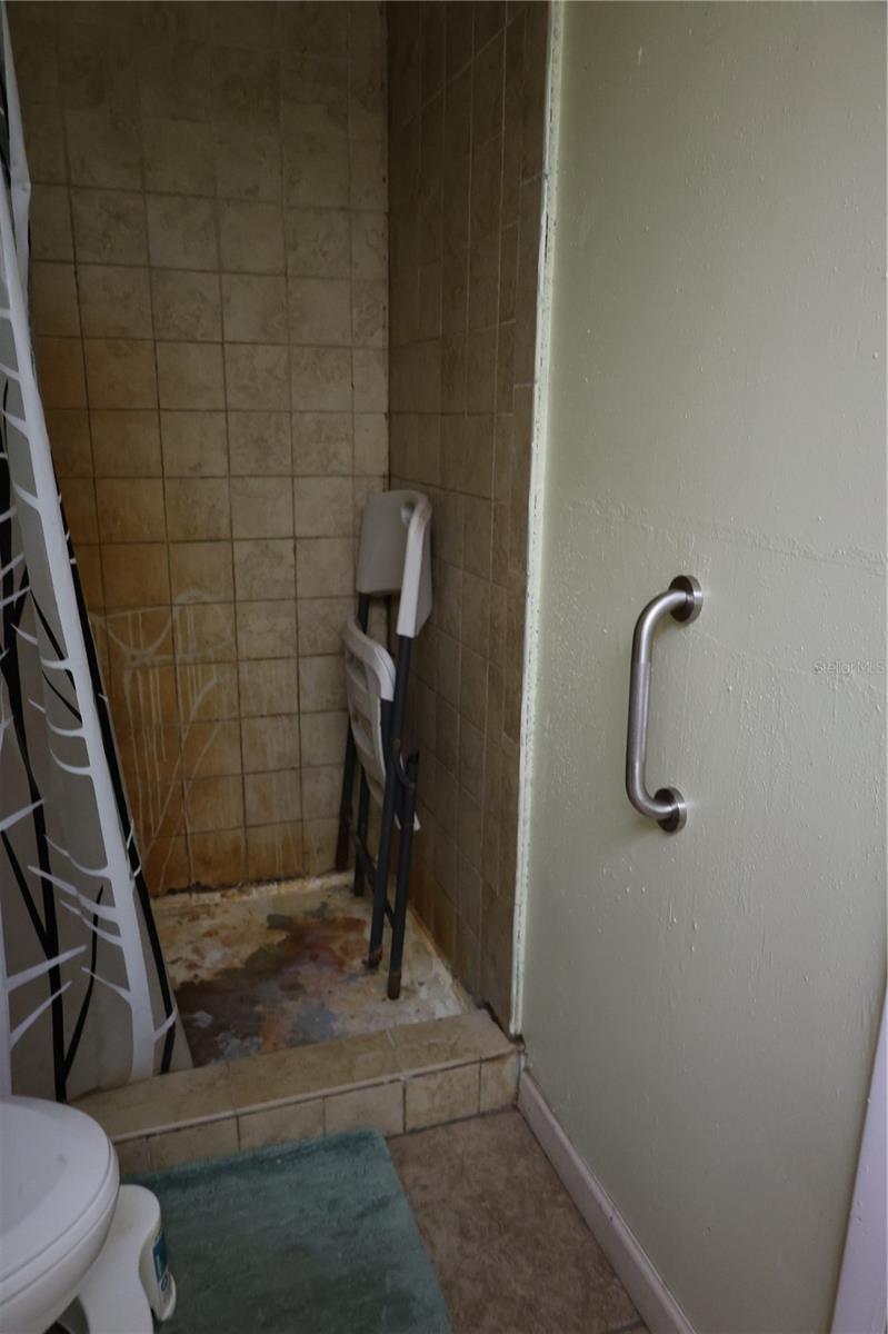 1133 LIVE OAK LN, LUTZ, FL, 33549