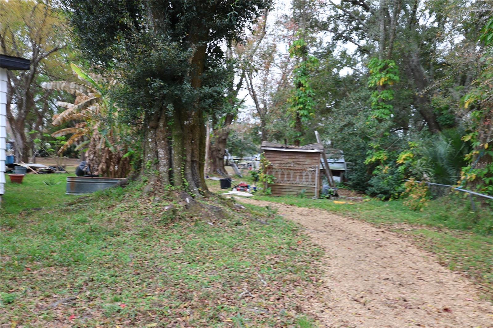 1133 LIVE OAK LN, LUTZ, FL, 33549