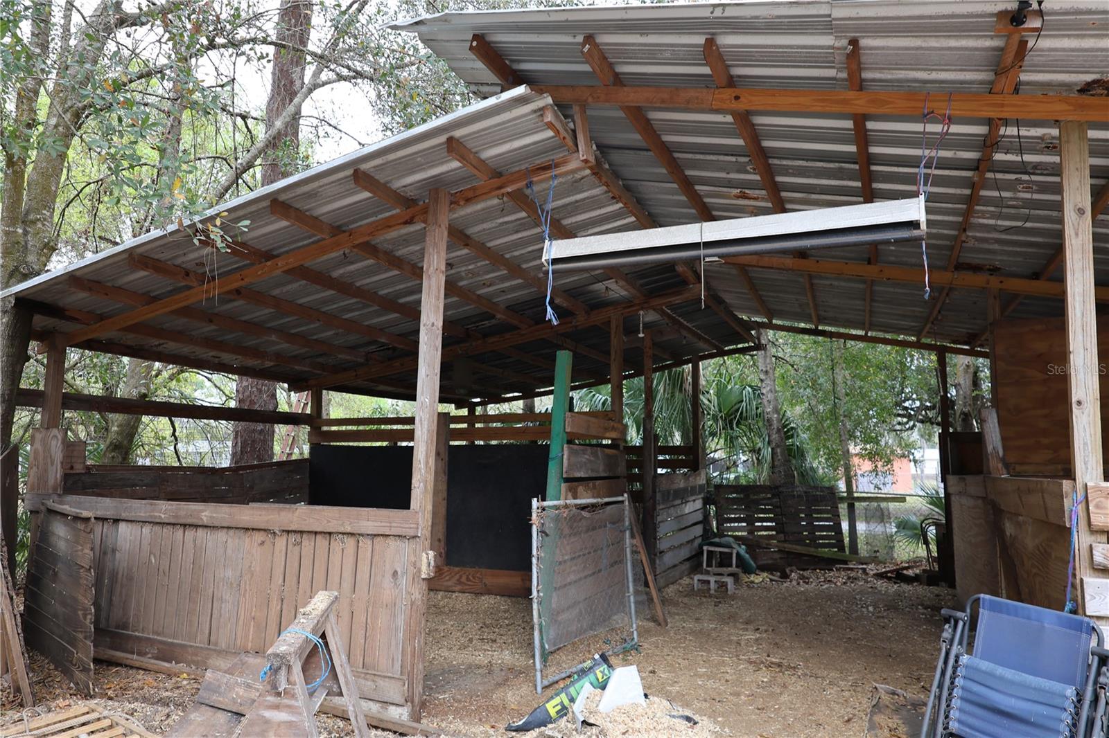 1133 LIVE OAK LN, LUTZ, FL, 33549