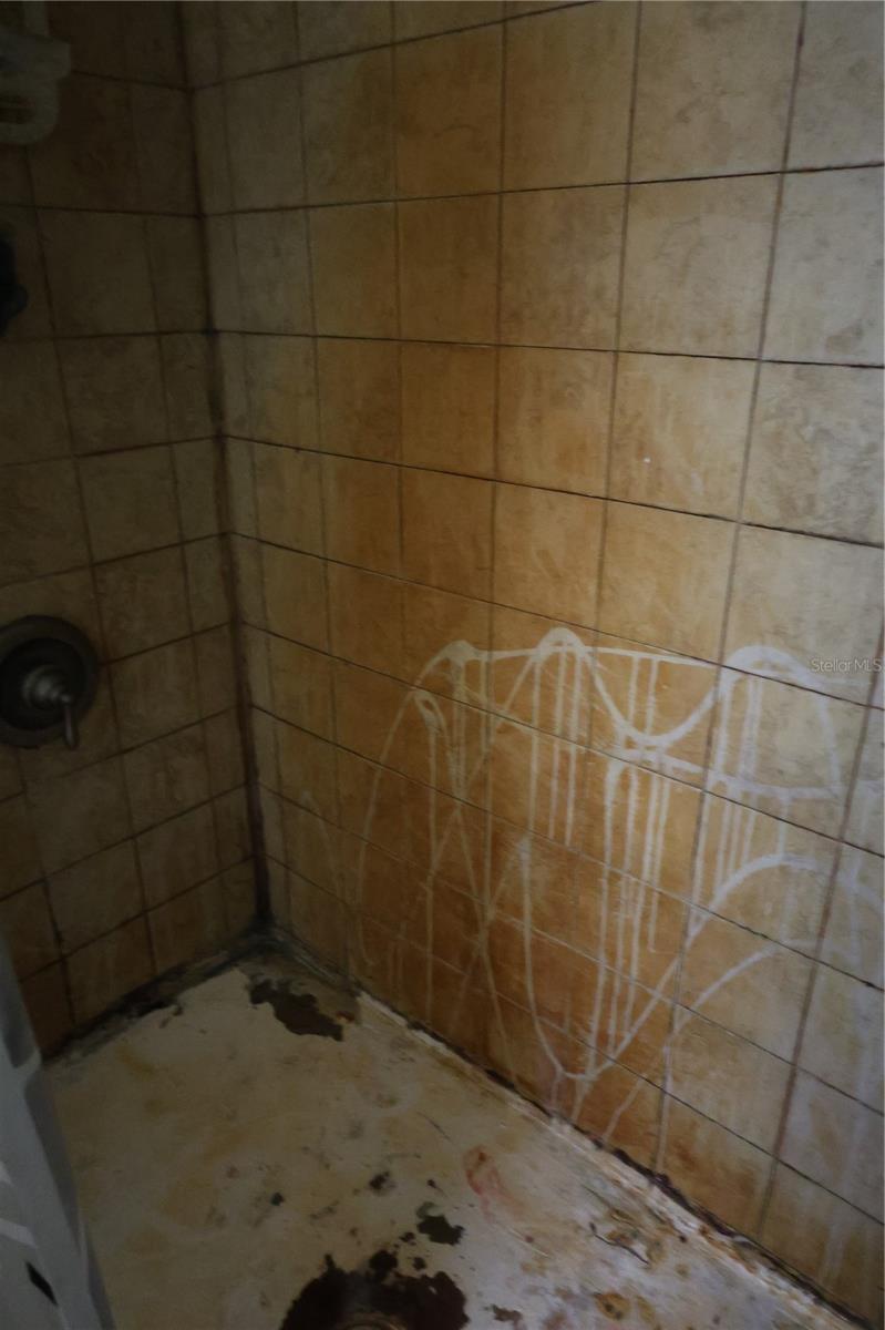 1133 LIVE OAK LN, LUTZ, FL, 33549