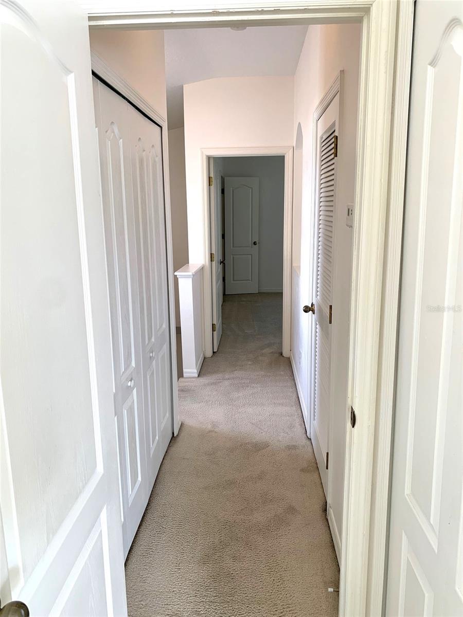 1756 PALADINO CT, ODESSA, FL, 33556