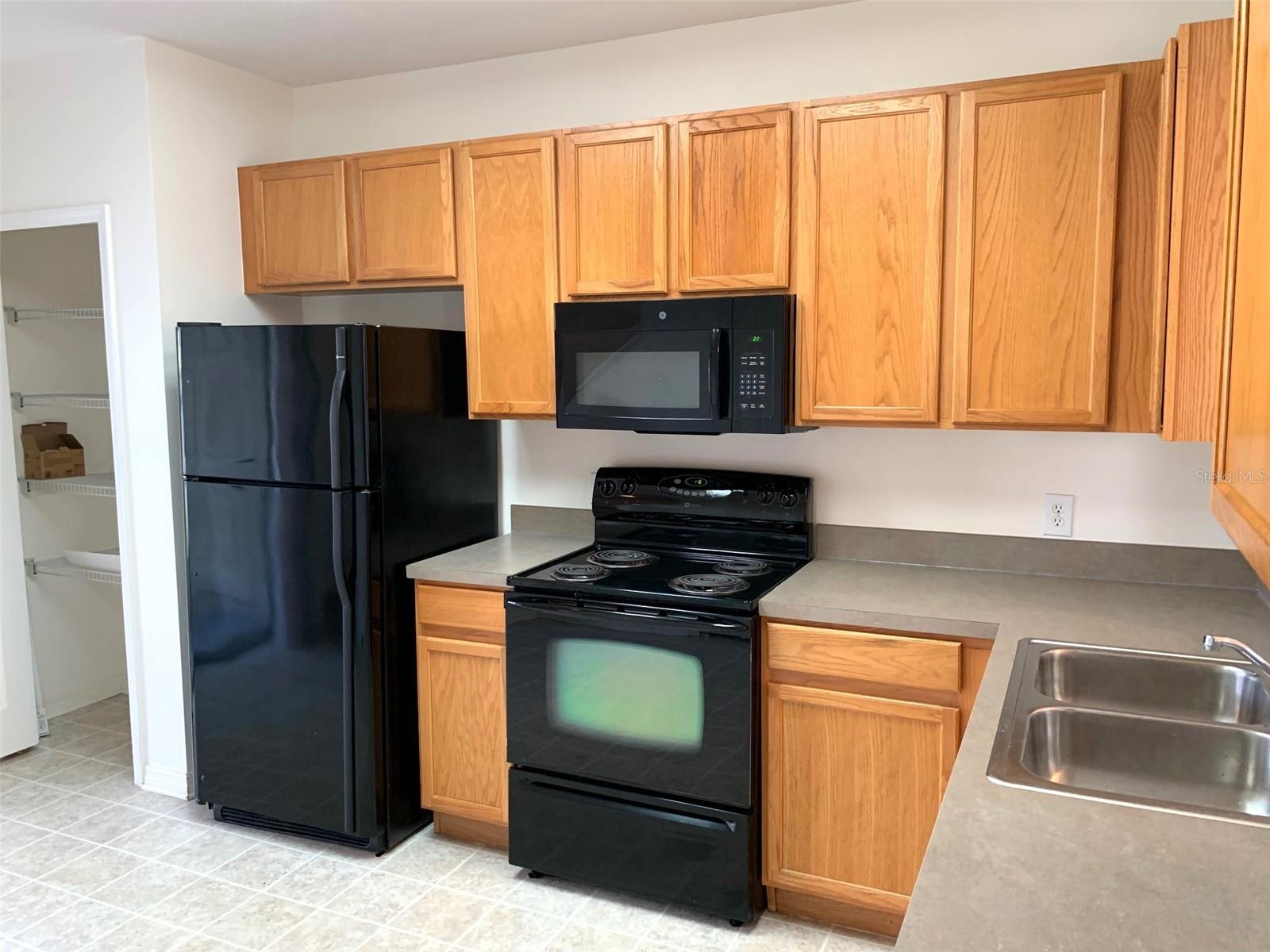 1756 PALADINO CT, ODESSA, FL, 33556