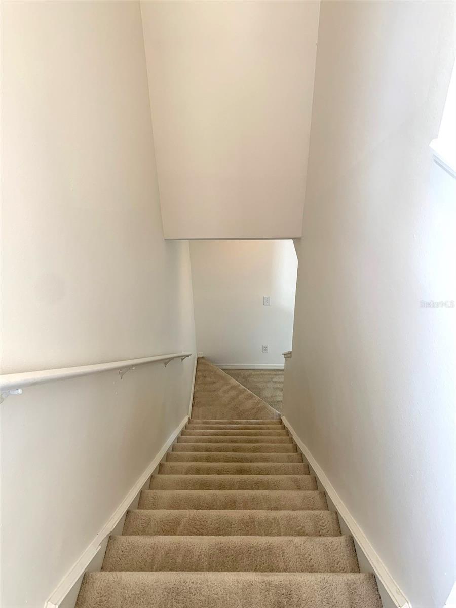 1756 PALADINO CT, ODESSA, FL, 33556