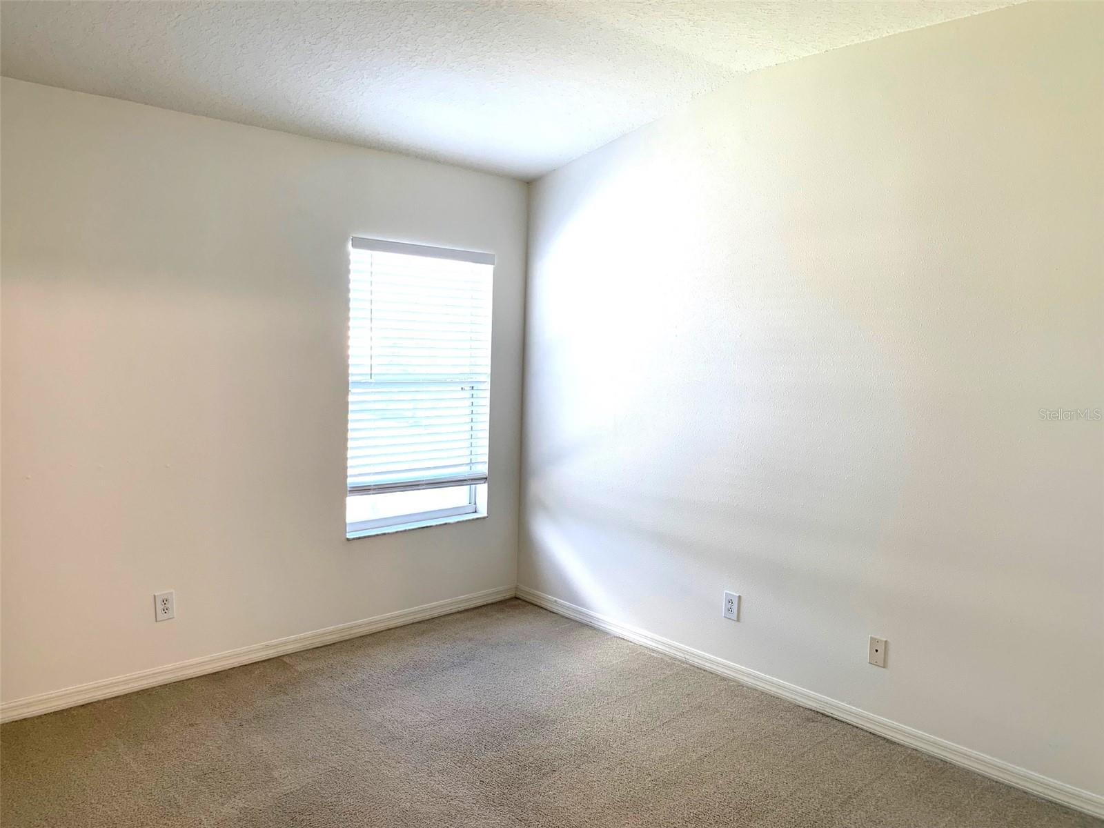 1756 PALADINO CT, ODESSA, FL, 33556