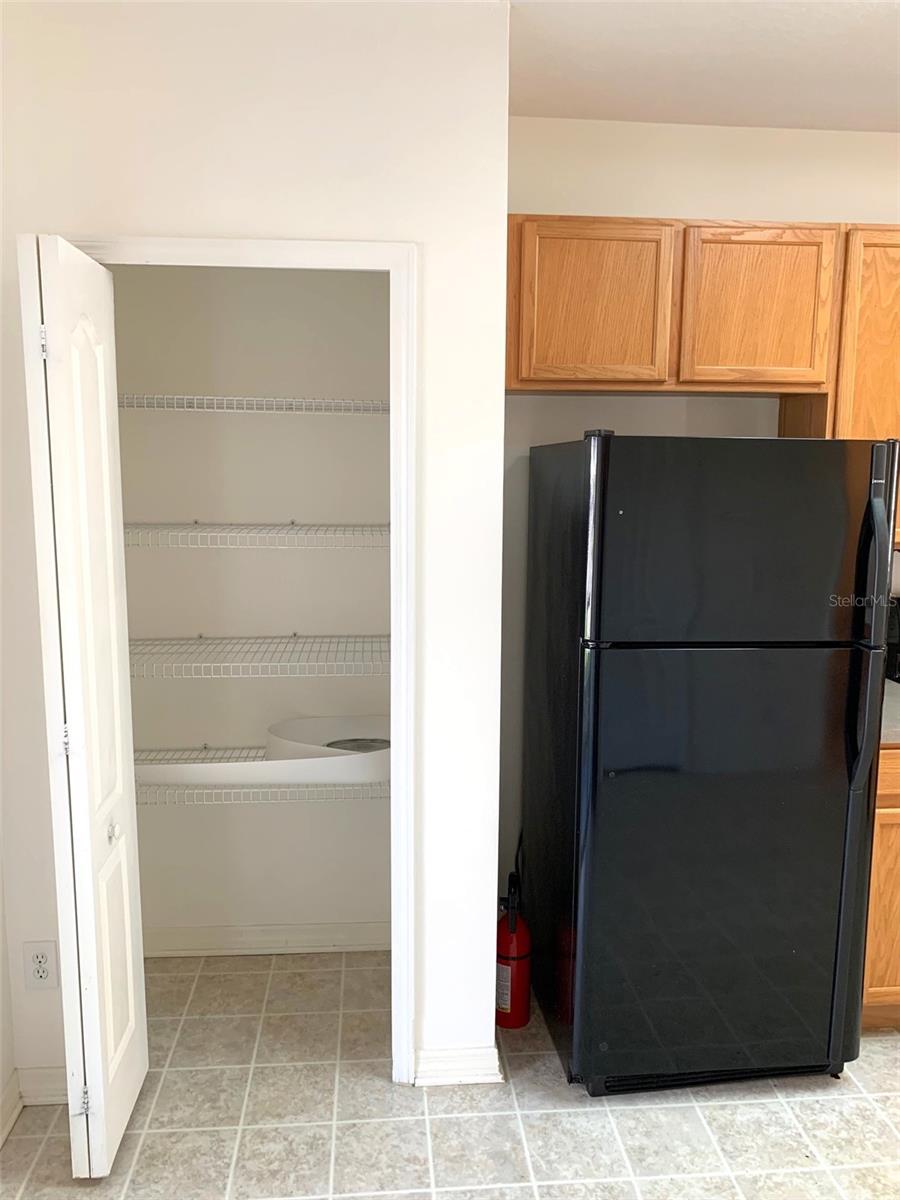 1756 PALADINO CT, ODESSA, FL, 33556