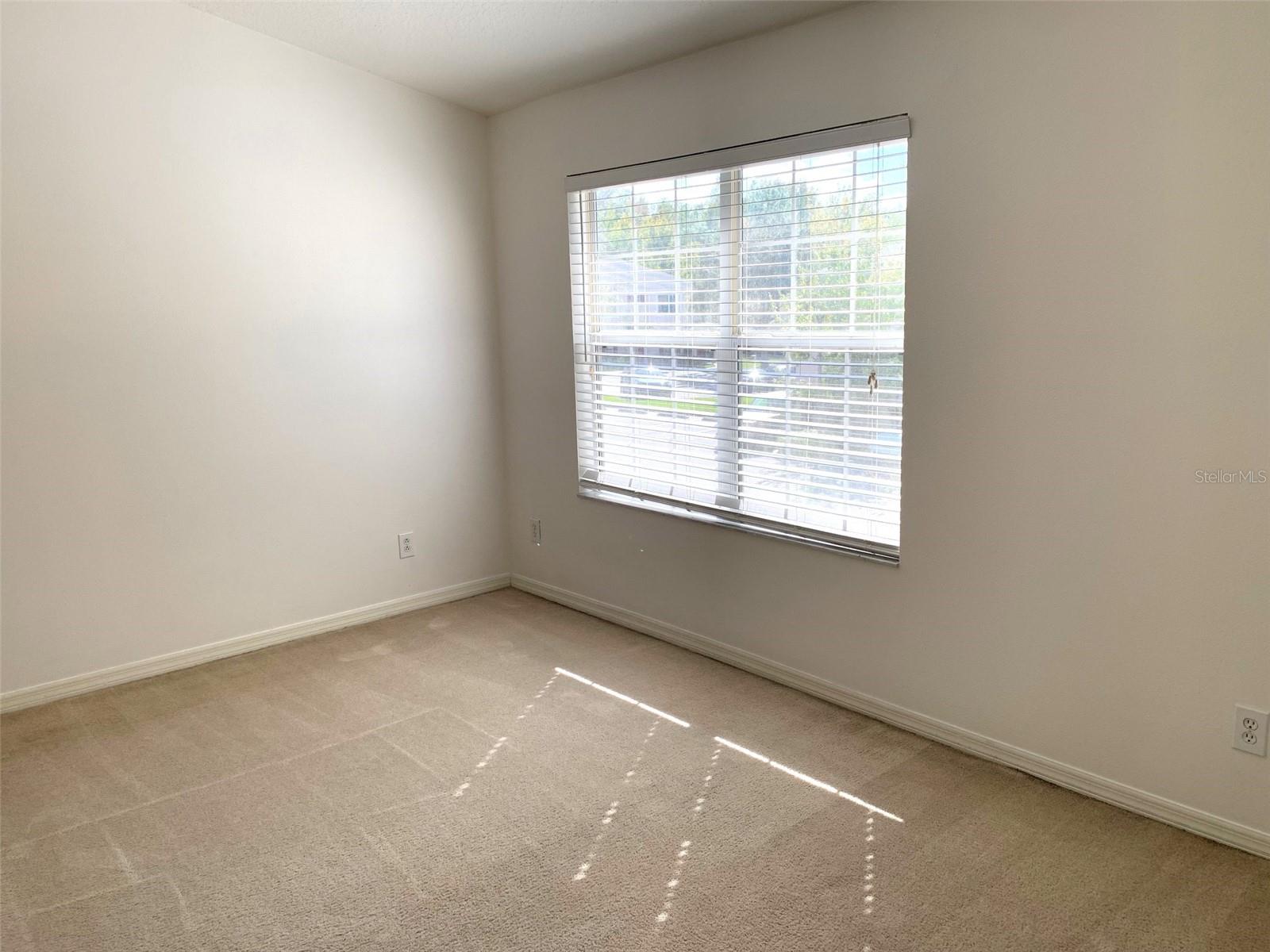 1756 PALADINO CT, ODESSA, FL, 33556