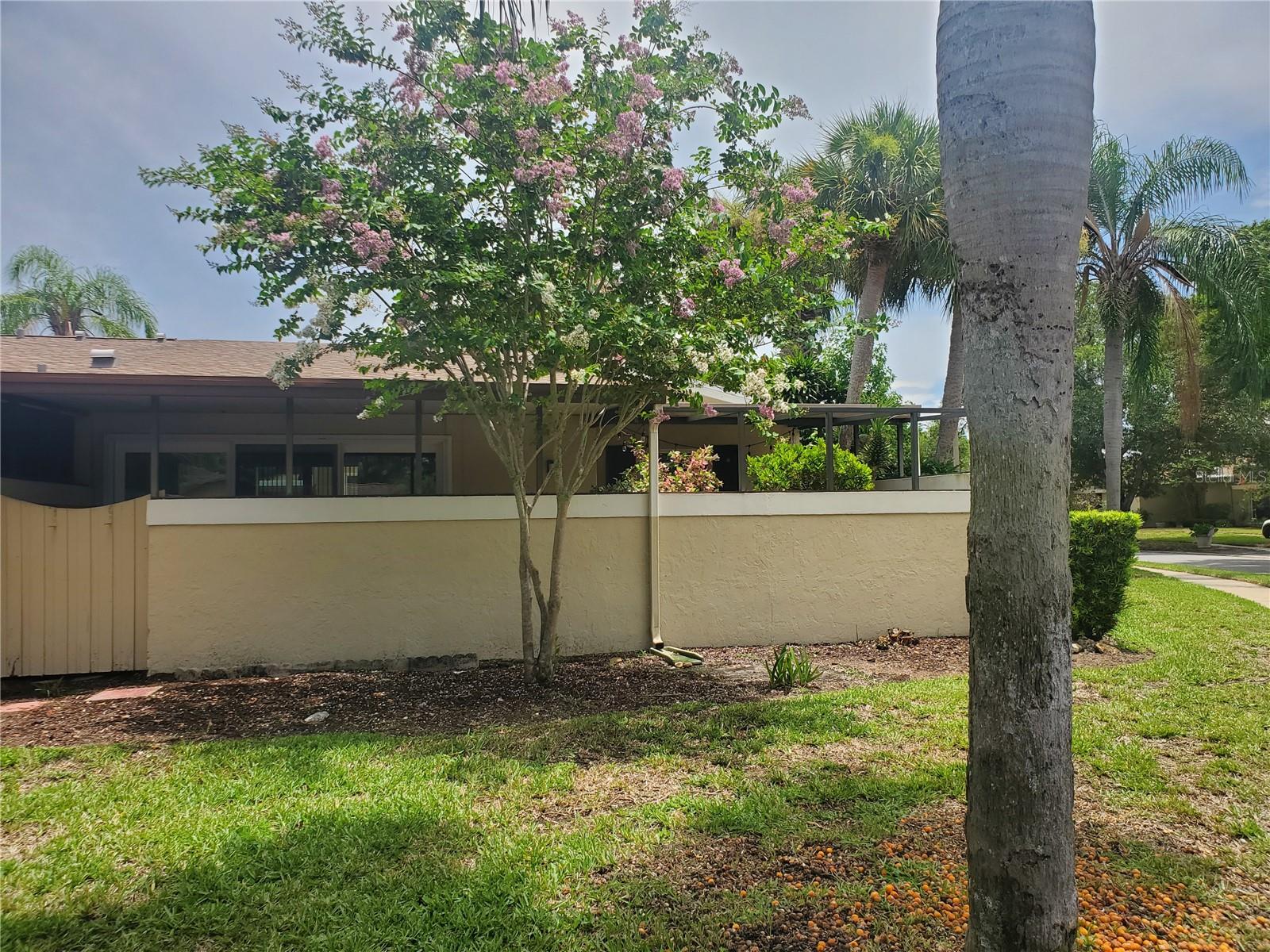 1554 GLEN CT #A, DUNEDIN, FL, 34698