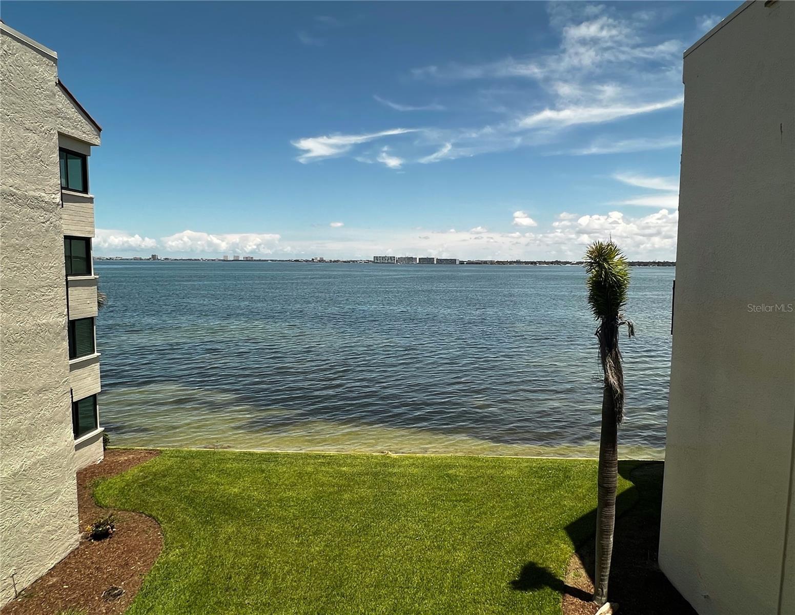 5541 LA PUERTA DEL SOL BLVD S #317, ST PETERSBURG, FL, 33715