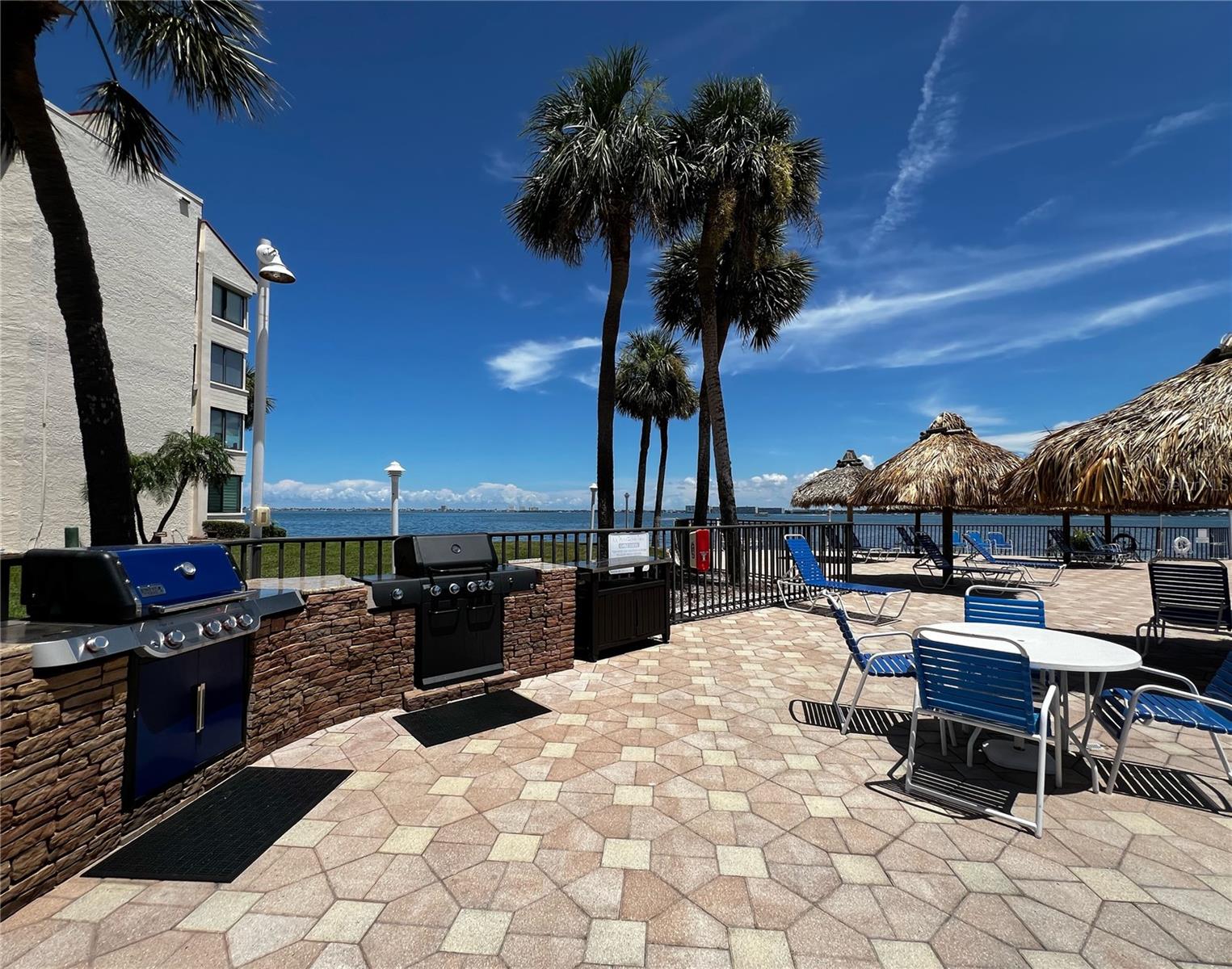 5541 LA PUERTA DEL SOL BLVD S #317, ST PETERSBURG, FL, 33715