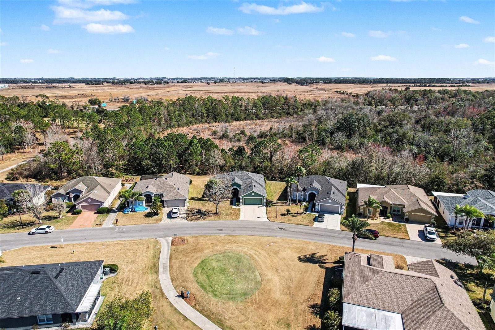 10118 CLEGHORN DR, SAN ANTONIO, FL, 33576