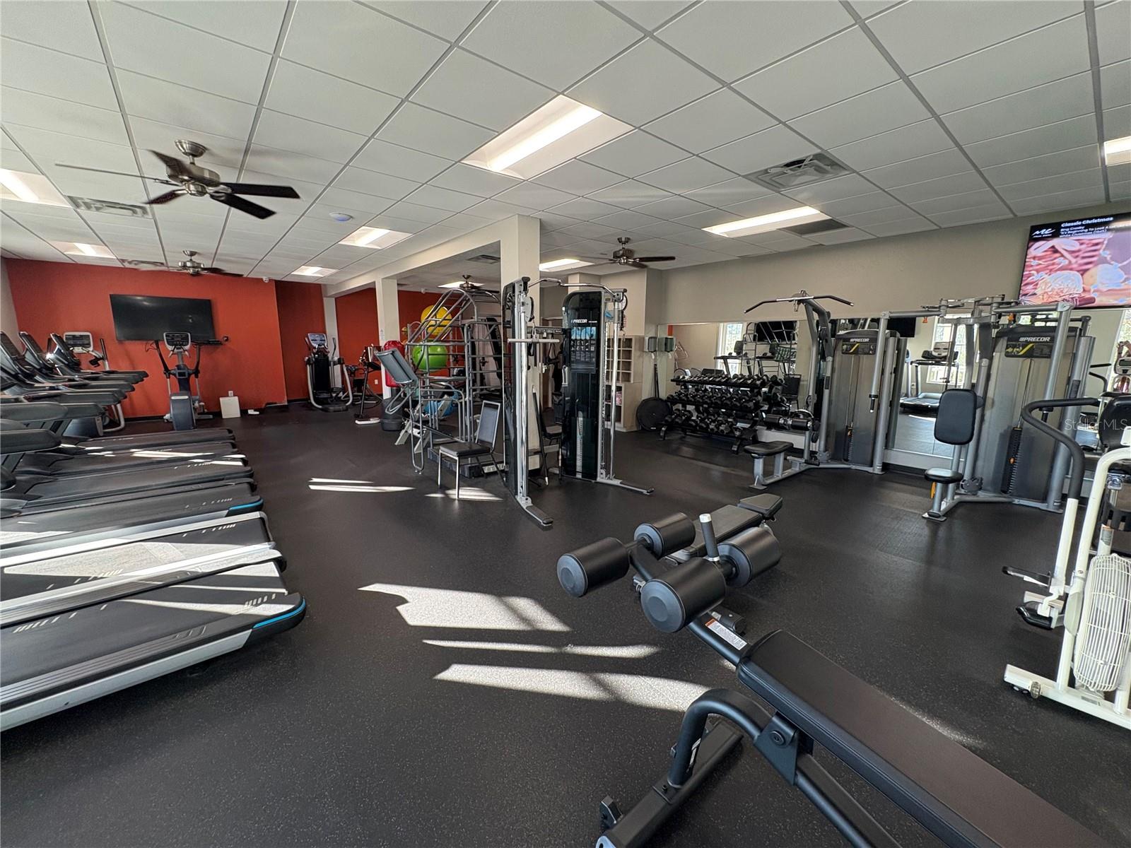 10118 CLEGHORN DR, SAN ANTONIO, FL, 33576