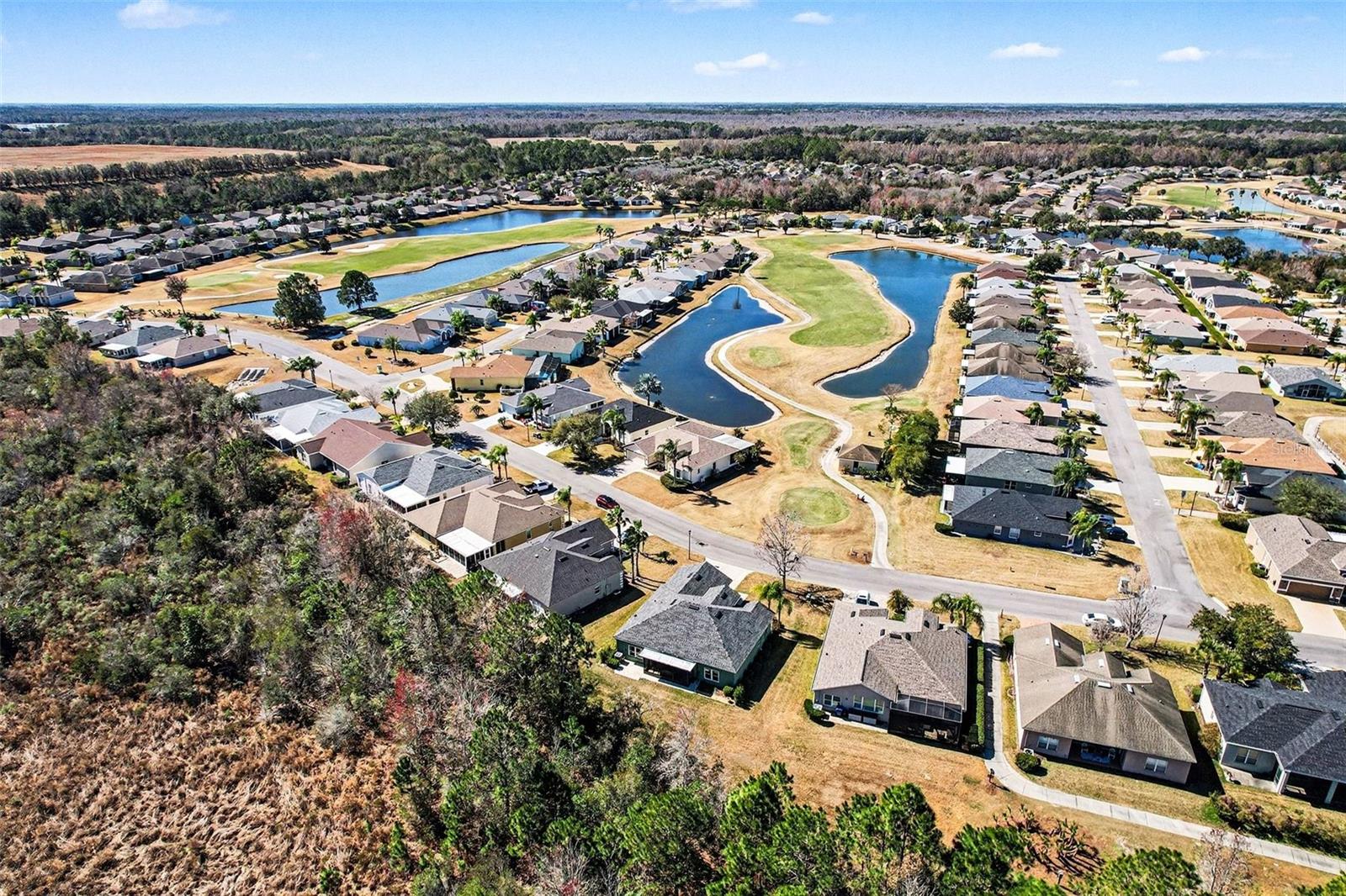 10118 CLEGHORN DR, SAN ANTONIO, FL, 33576