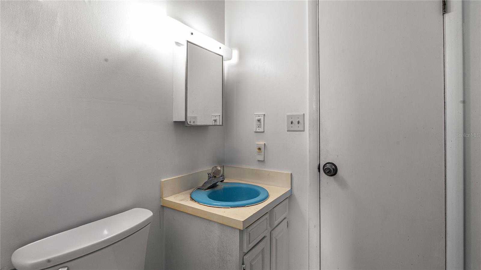 19036 NW 246TH ST, HIGH SPRINGS, FL, 32643