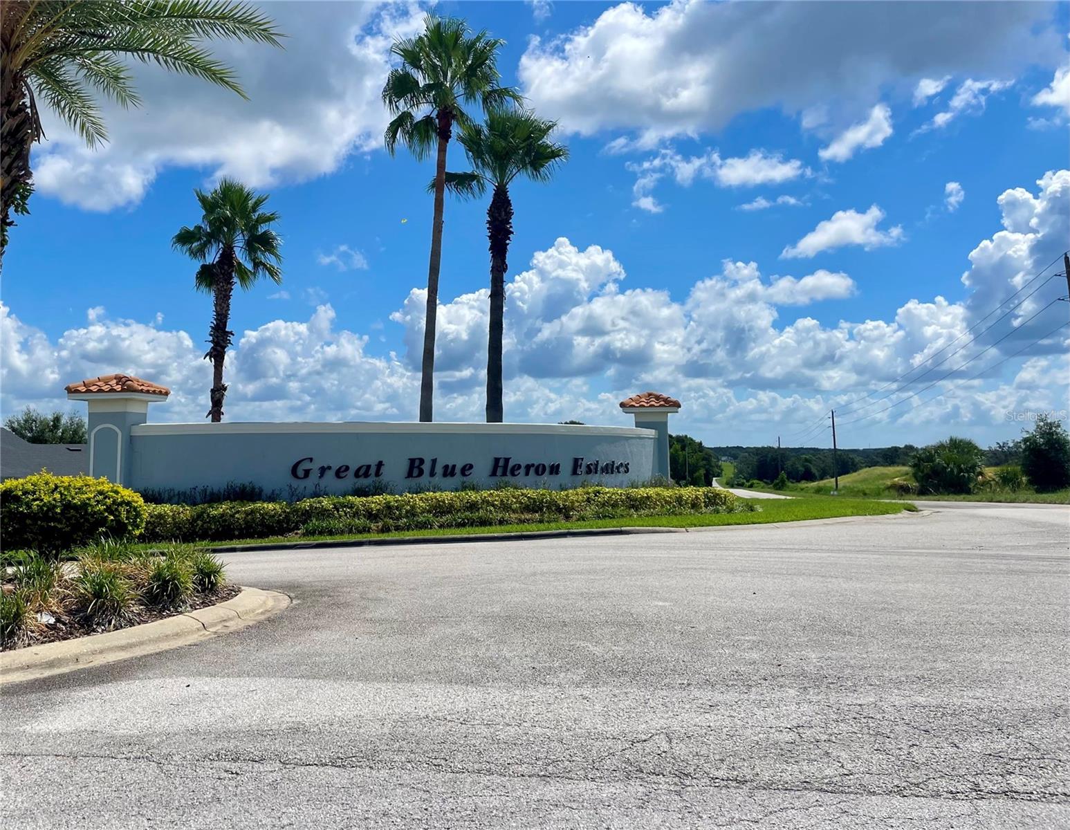 18340 GREAT BLUE HERON DR, GROVELAND, FL, 34736