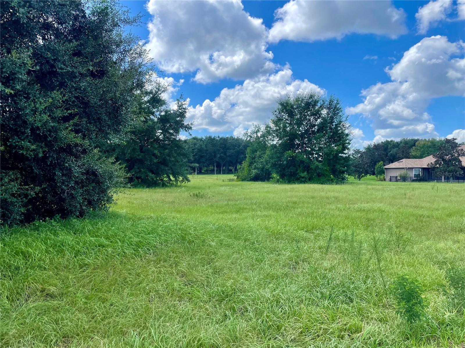 18340 GREAT BLUE HERON DR, GROVELAND, FL, 34736