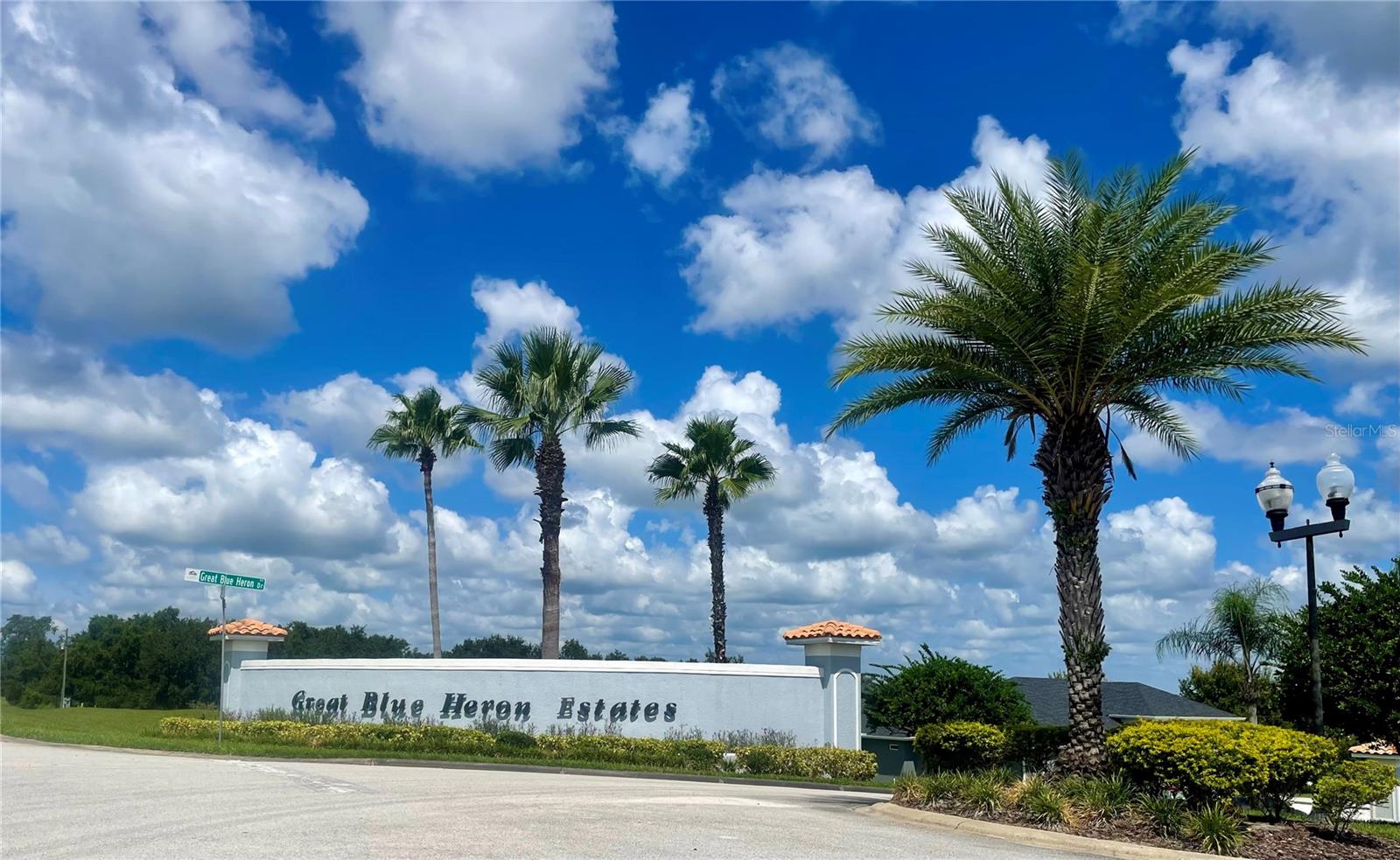 18340 GREAT BLUE HERON DR, GROVELAND, FL, 34736