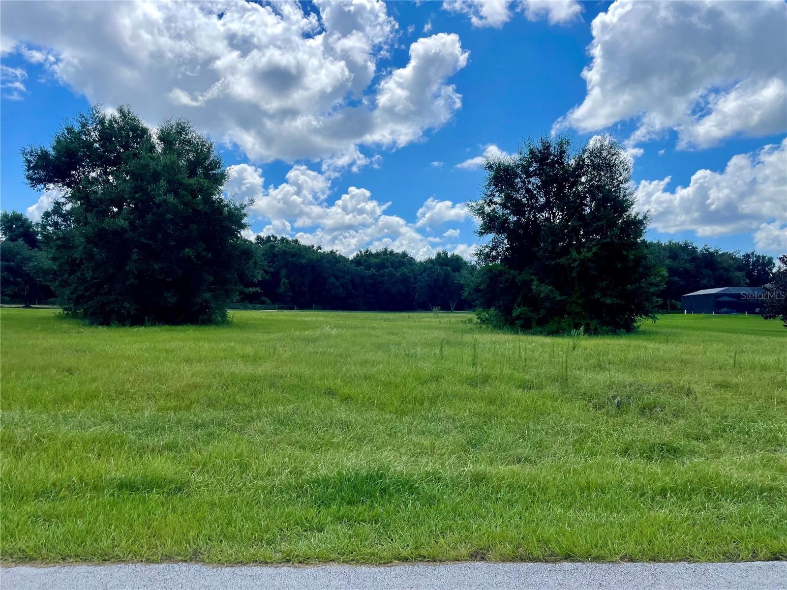 18340 GREAT BLUE HERON DR, GROVELAND, FL, 34736