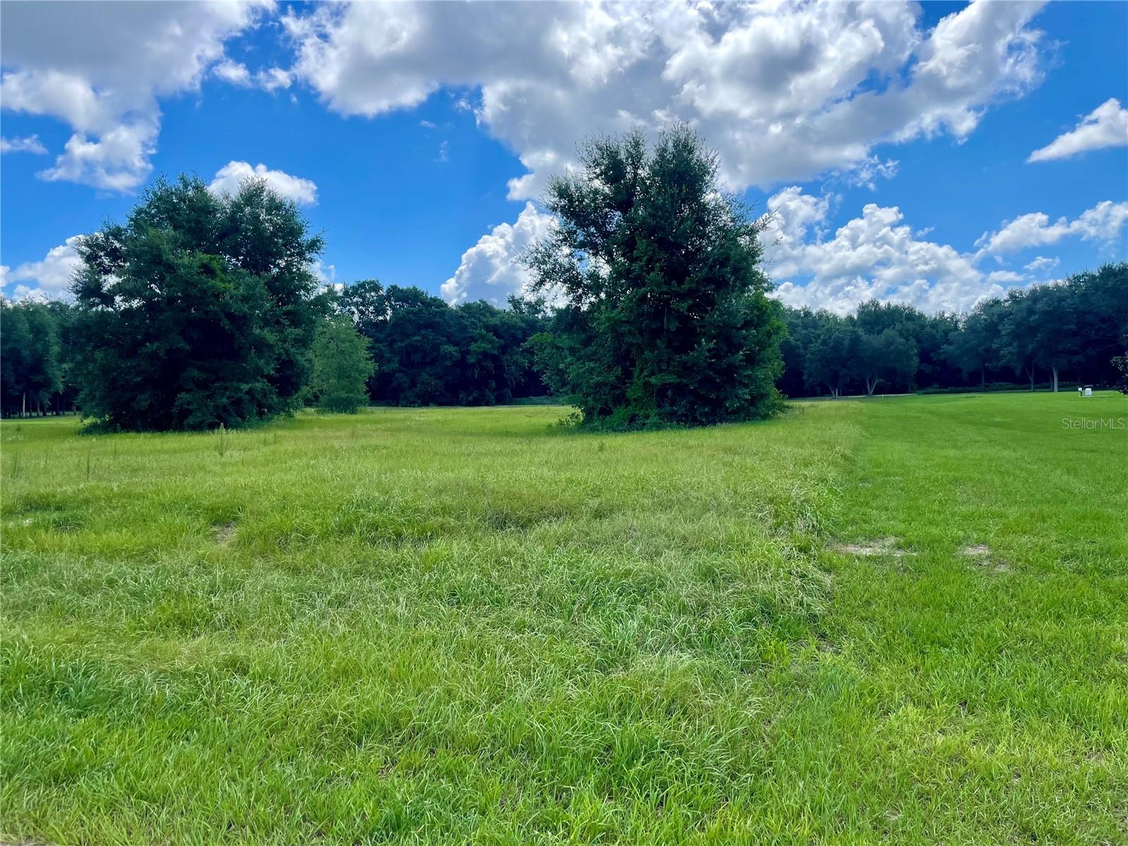 18340 GREAT BLUE HERON DR, GROVELAND, FL, 34736