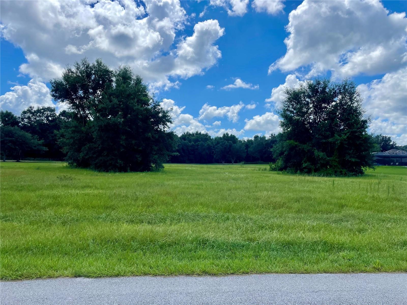 18340 GREAT BLUE HERON DR, GROVELAND, FL, 34736