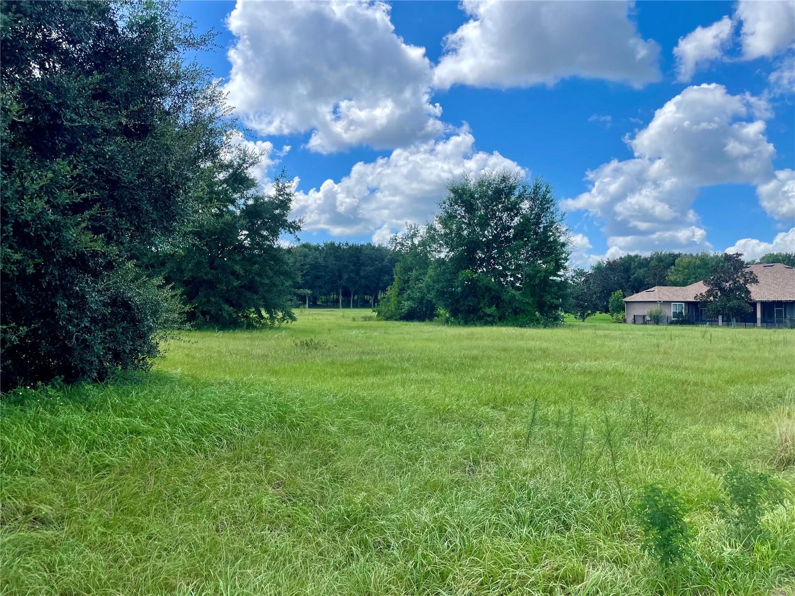 18340 GREAT BLUE HERON DR, GROVELAND, FL, 34736