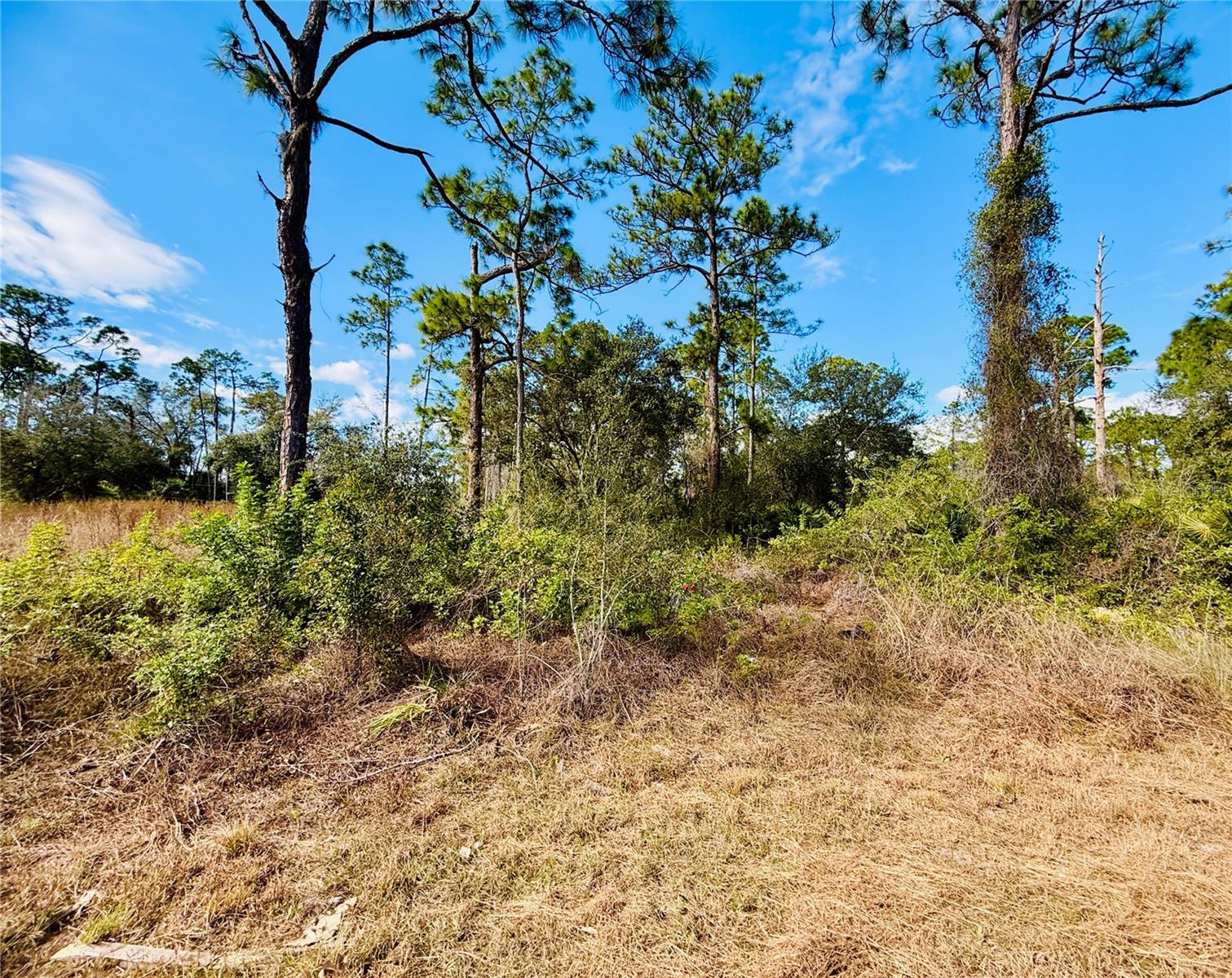 2007 TRUMAN AVE, ALVA, FL, 33920