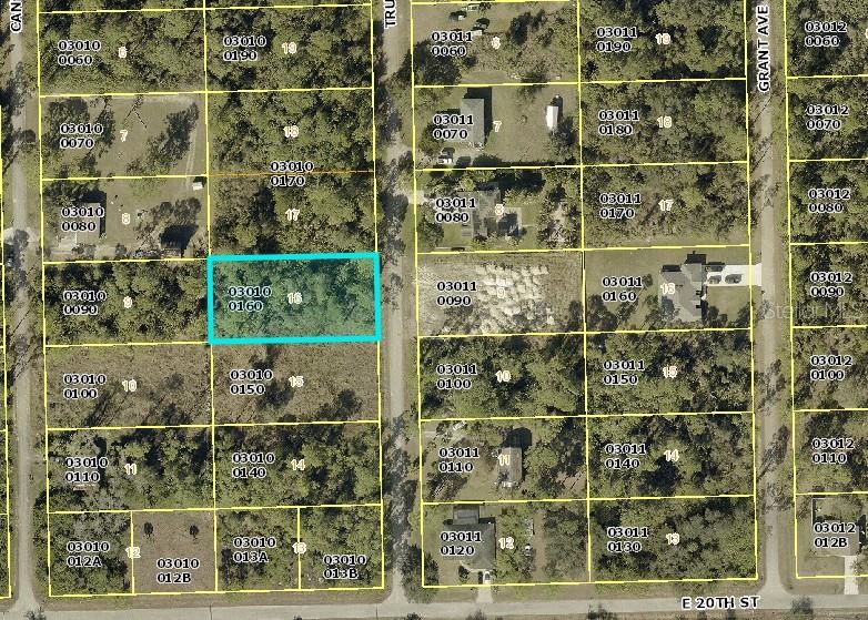 2007 TRUMAN AVE, ALVA, FL, 33920