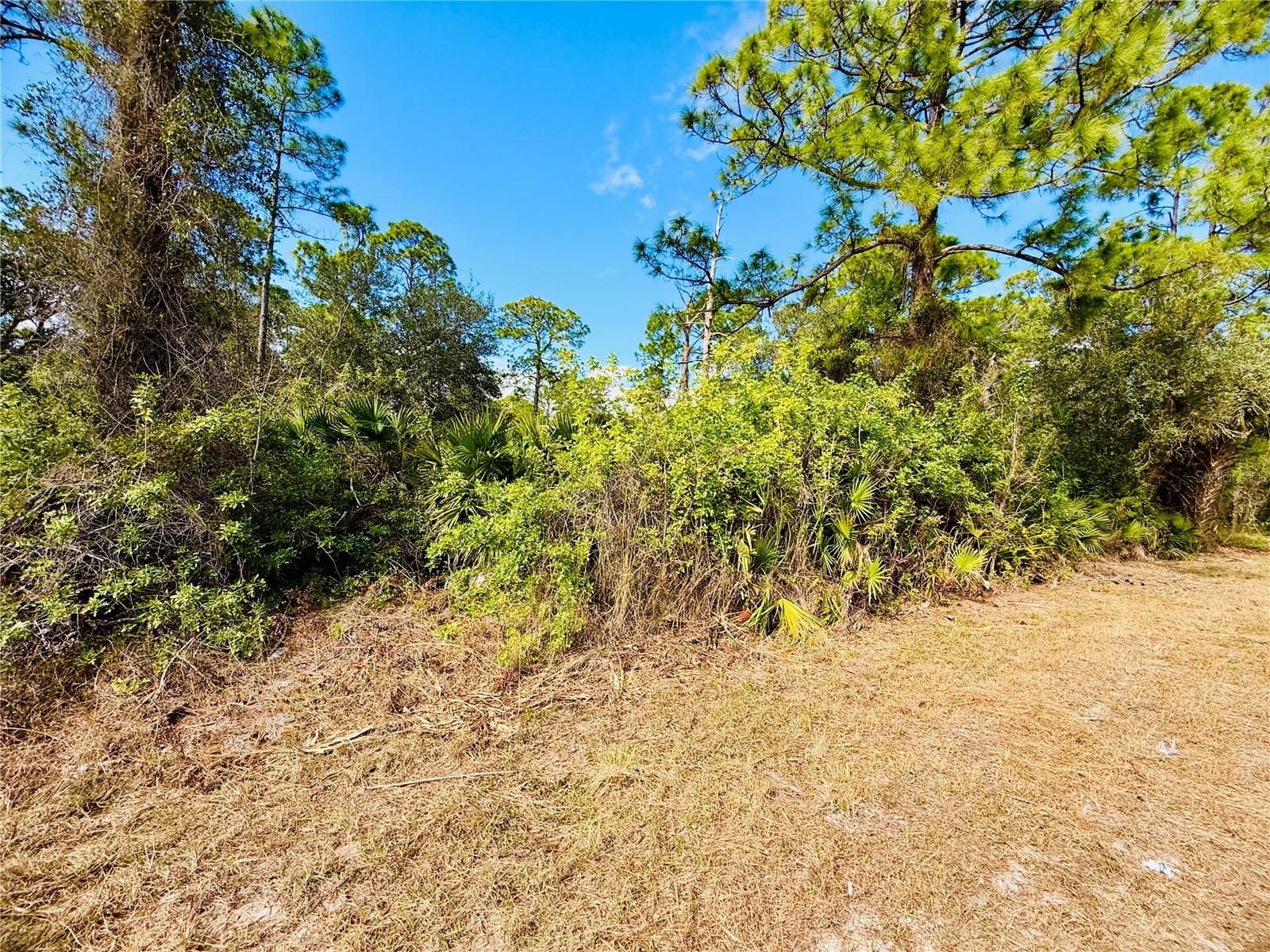 2007 TRUMAN AVE, ALVA, FL, 33920