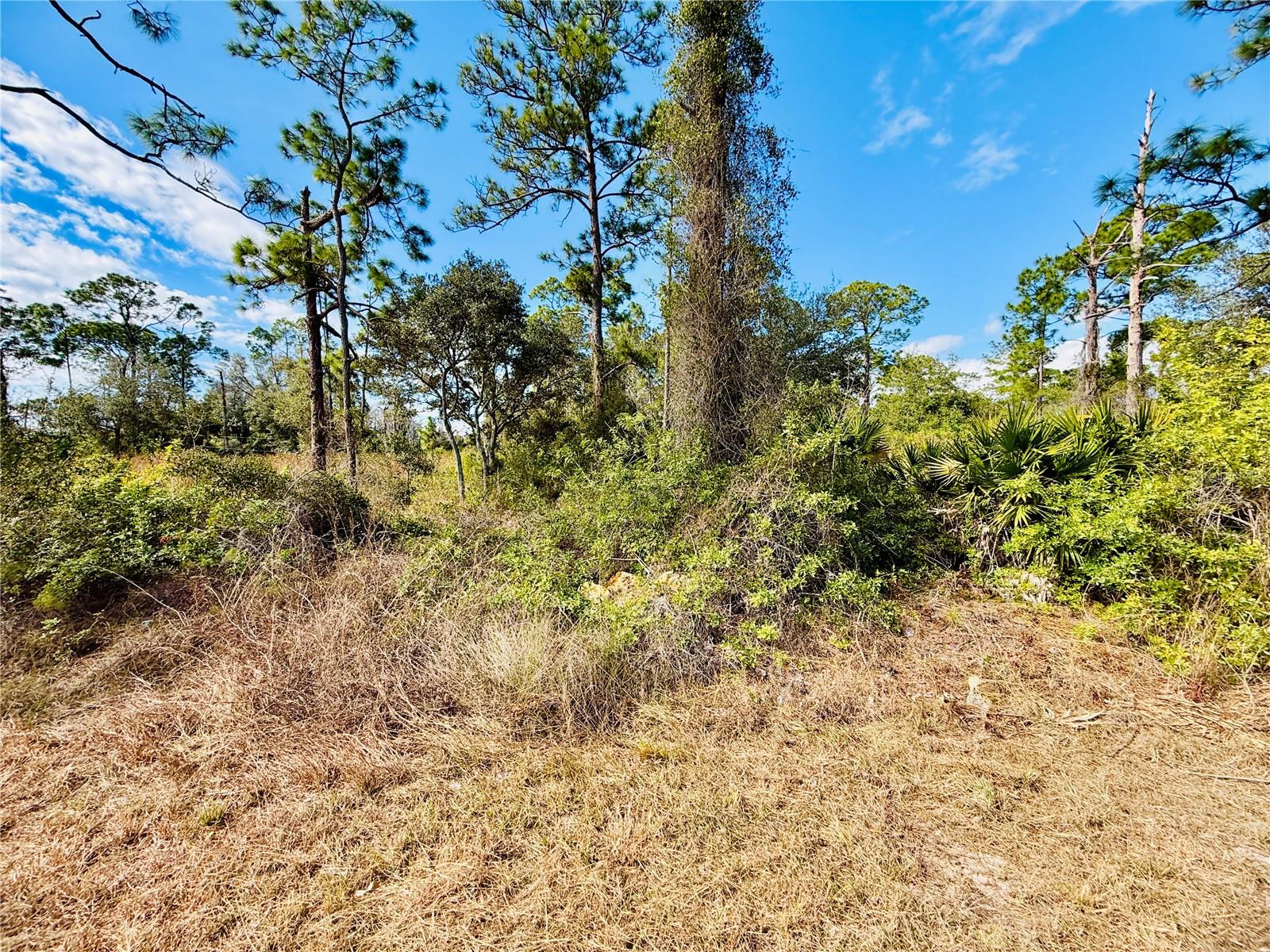 2007 TRUMAN AVE, ALVA, FL, 33920