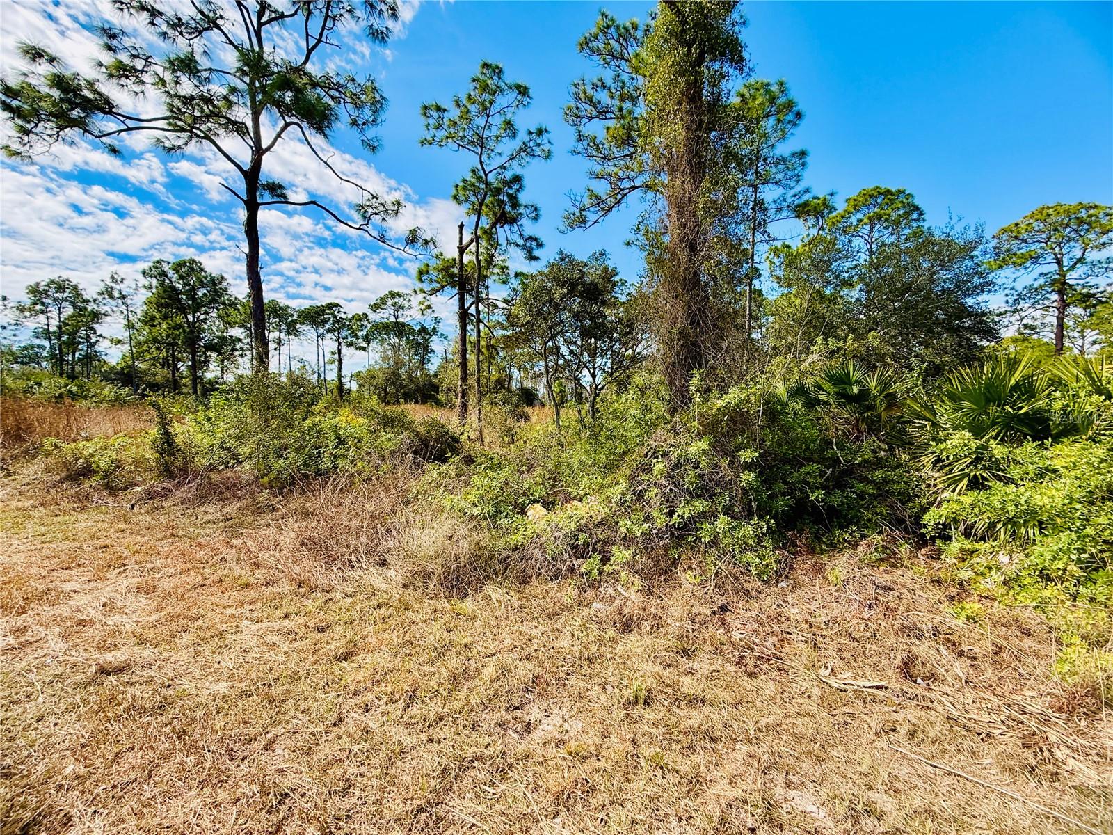 2007 TRUMAN AVE, ALVA, FL, 33920