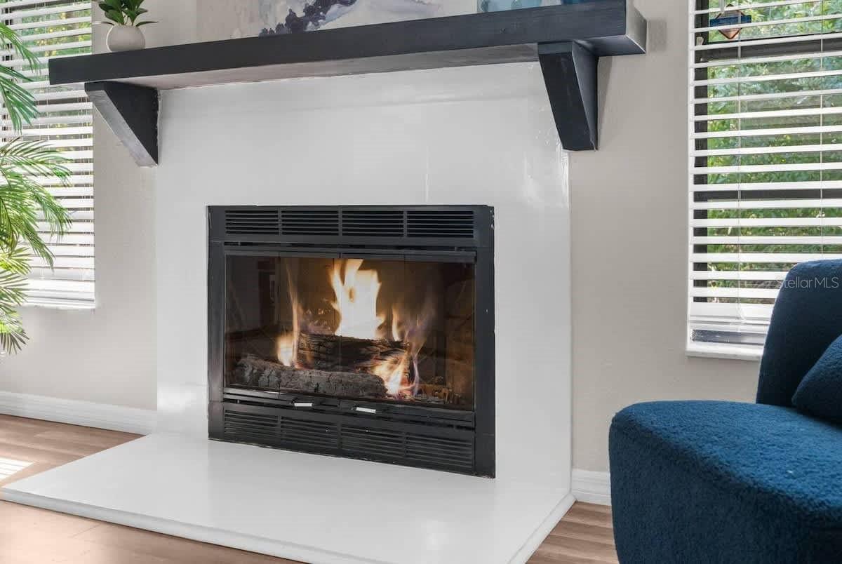 13501 WHITBY RD, HUDSON, FL, 34667