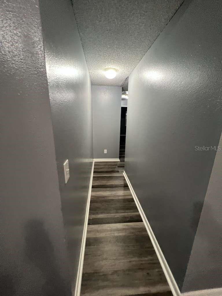 8301 N ALASKA ST, TAMPA, FL, 33604