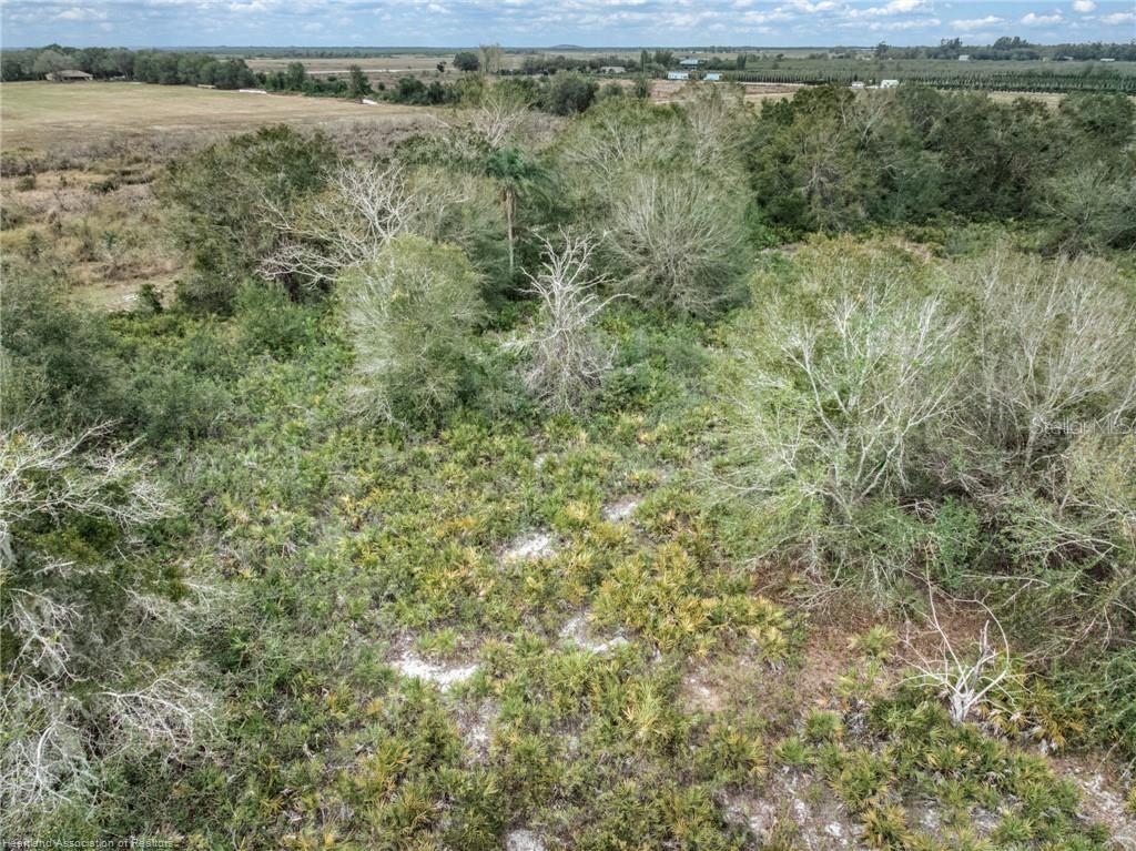 701 JOLLY LN, LORIDA, FL, 33857